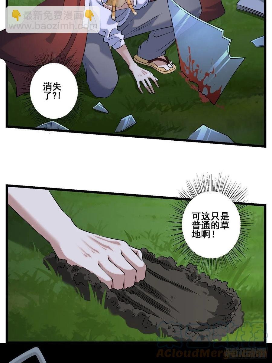 猫灵3