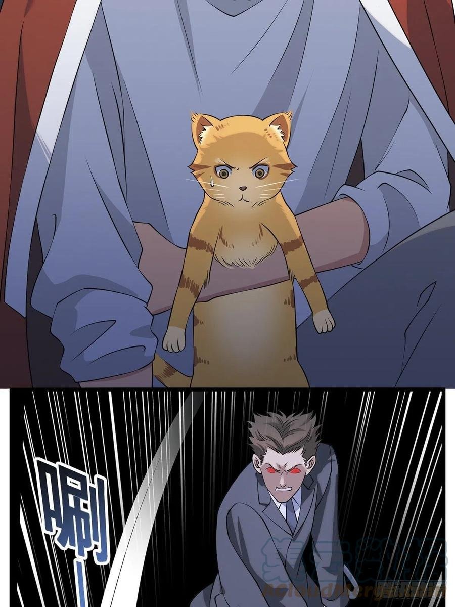 猫灵3