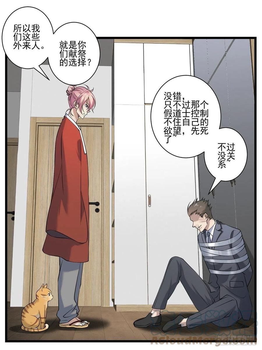 猫灵3