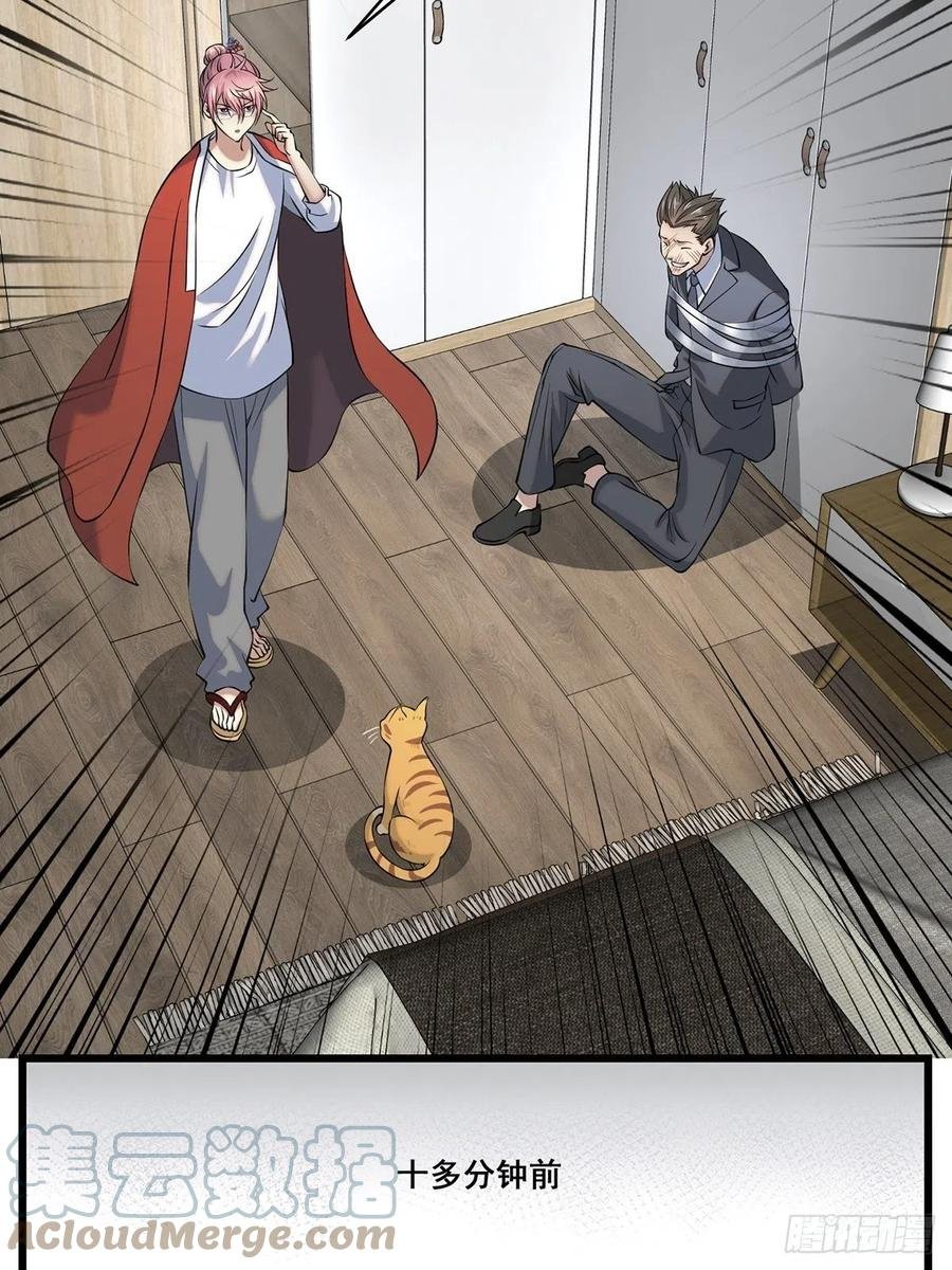 猫灵3