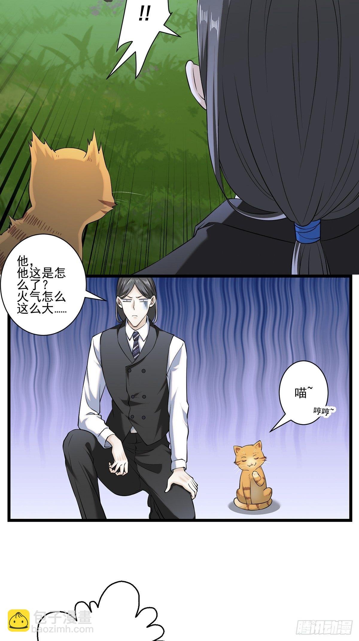 猫灵4