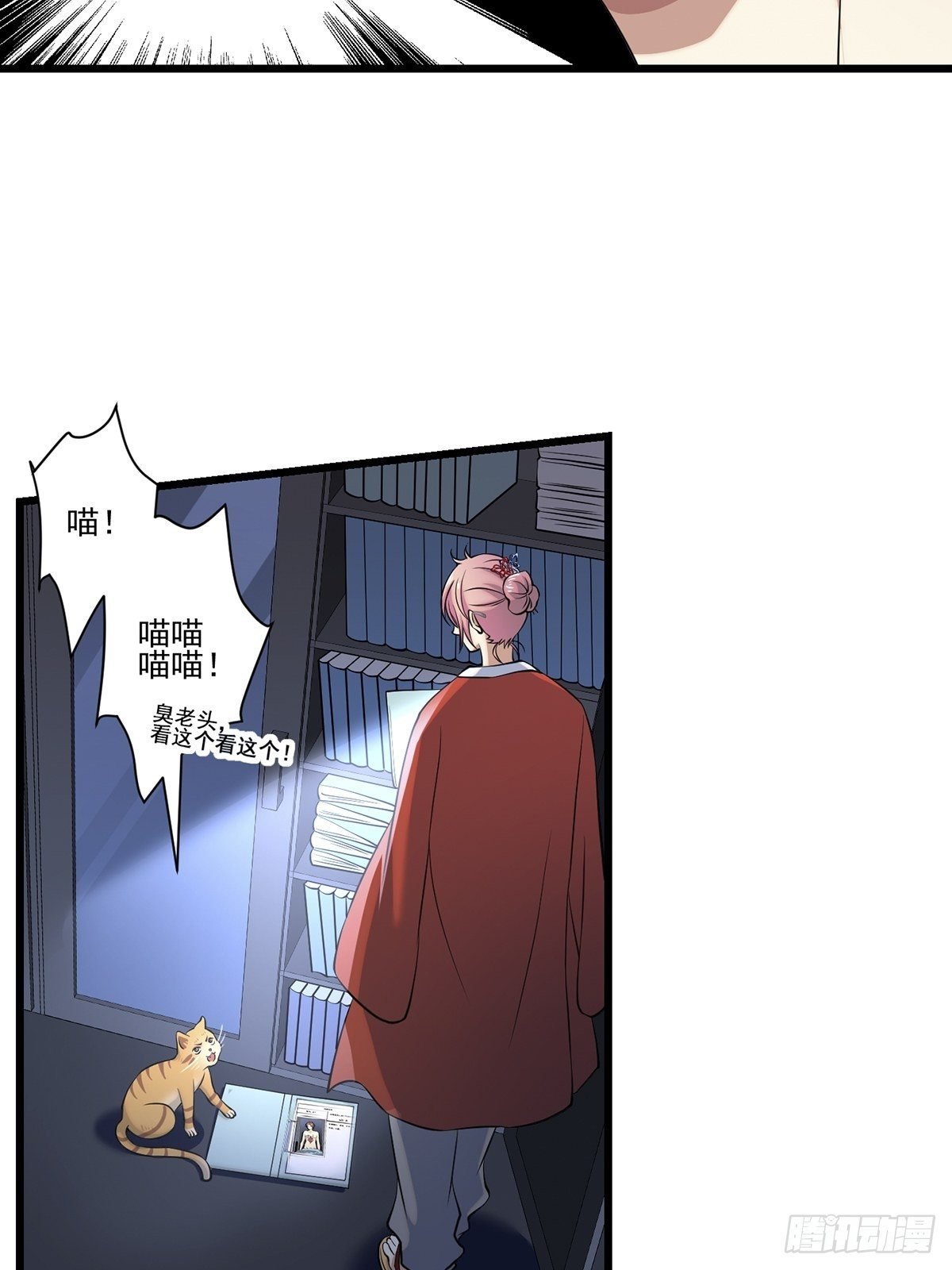 猫灵4