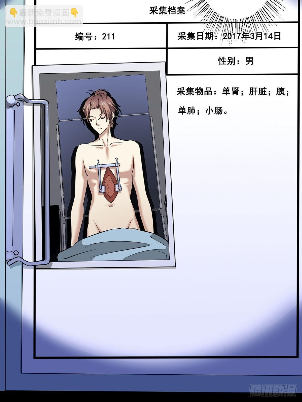 猫灵4
