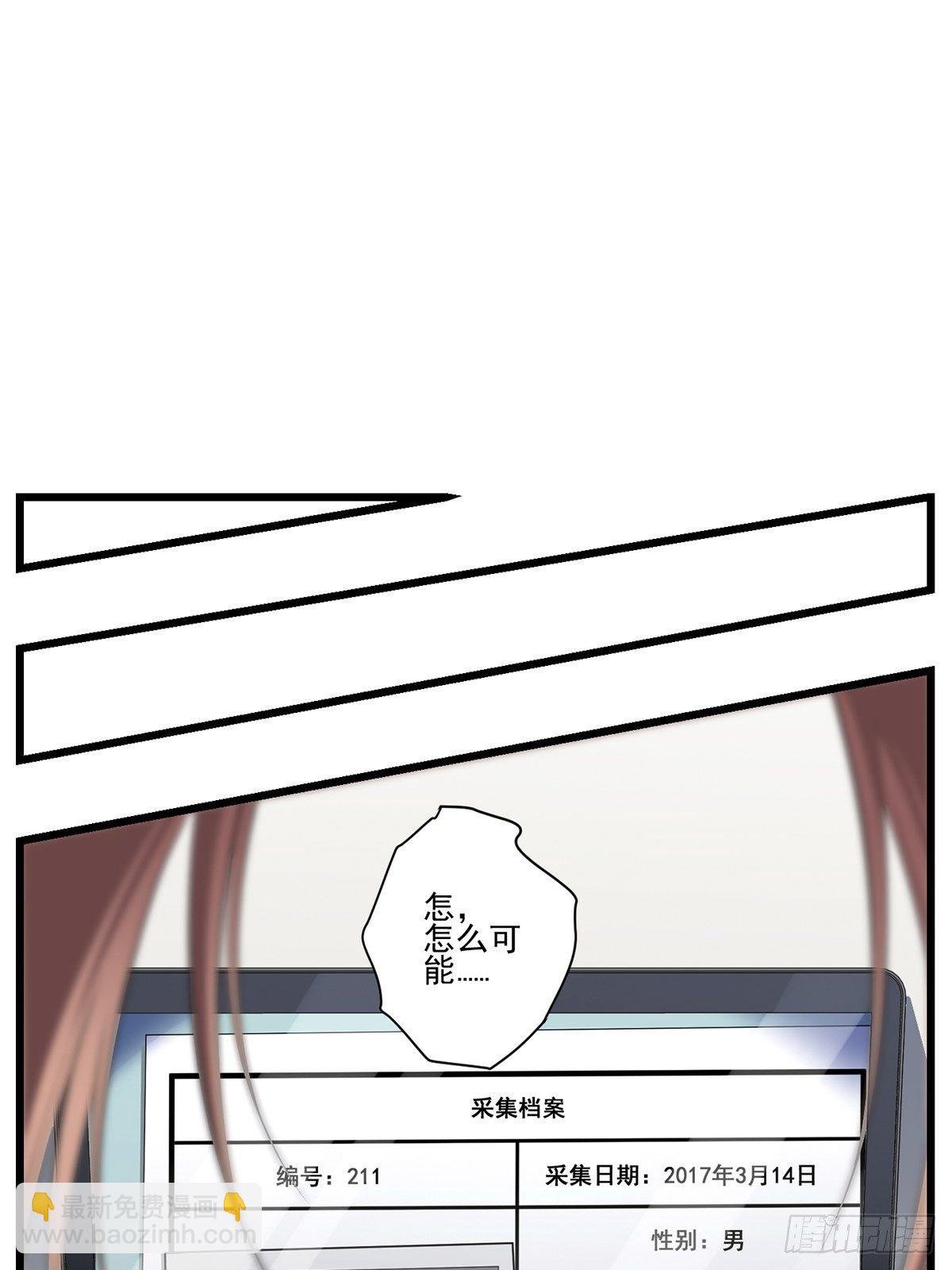 猫灵4