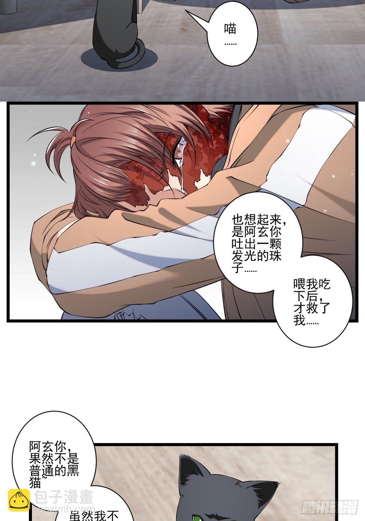 猫灵5