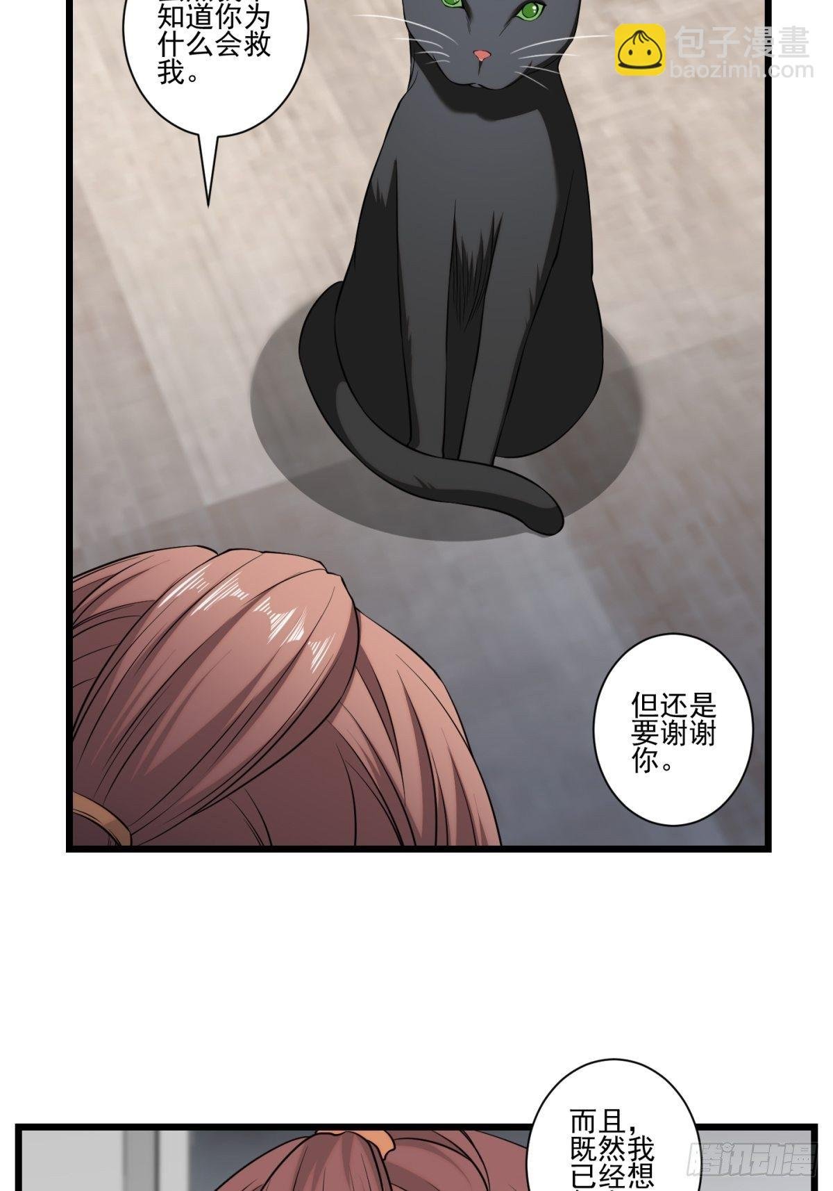 猫灵5
