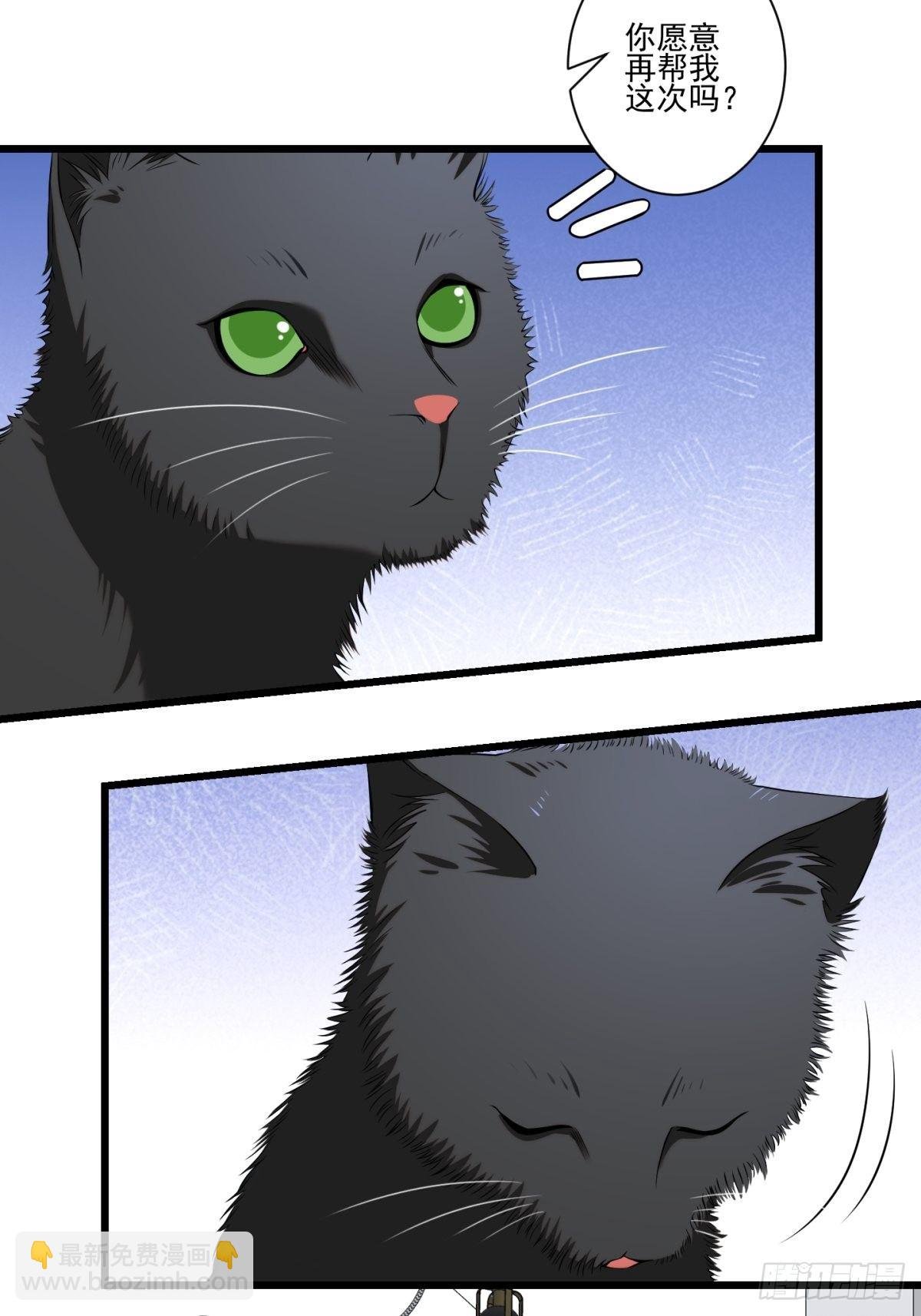 猫灵5