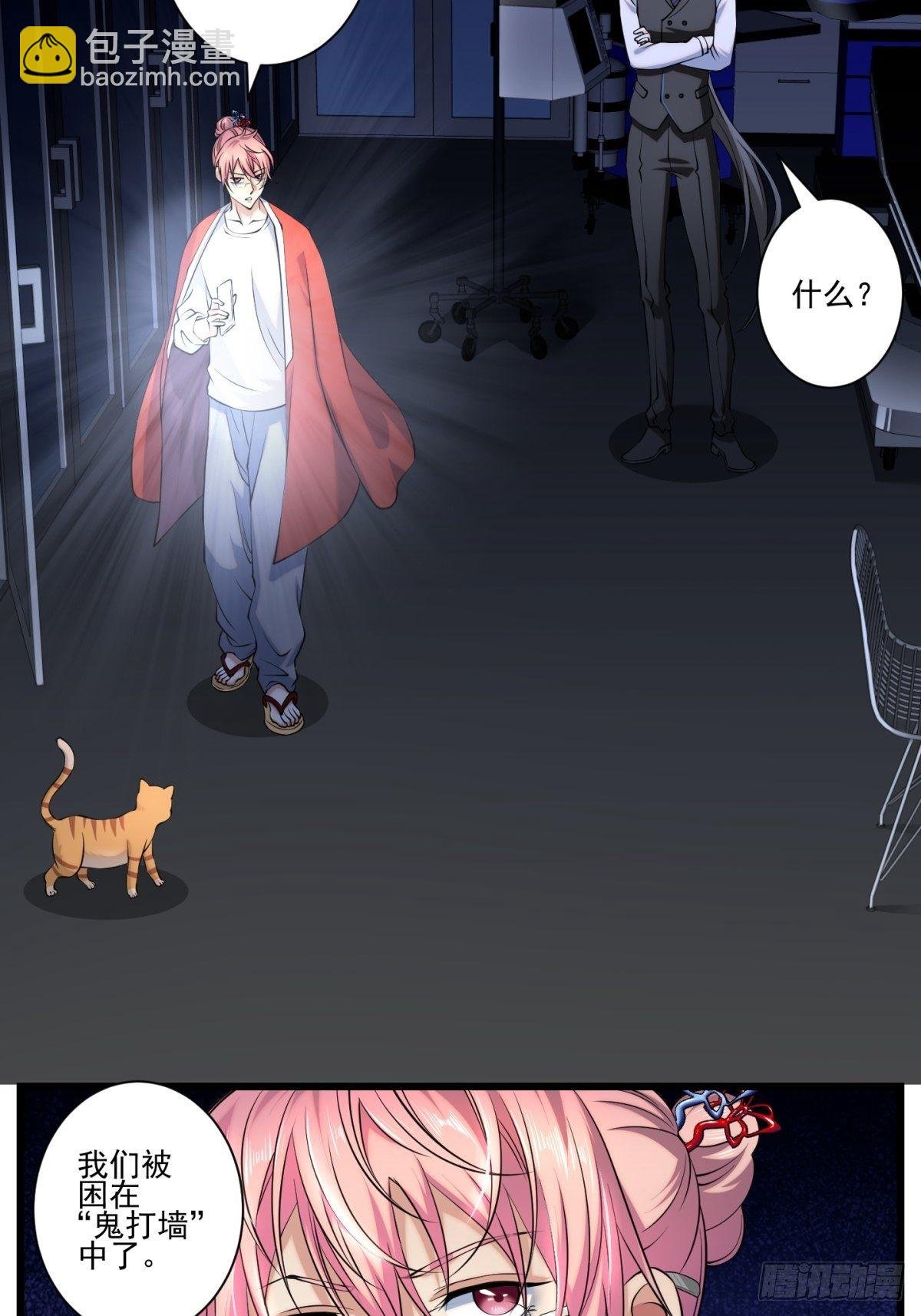 猫灵5