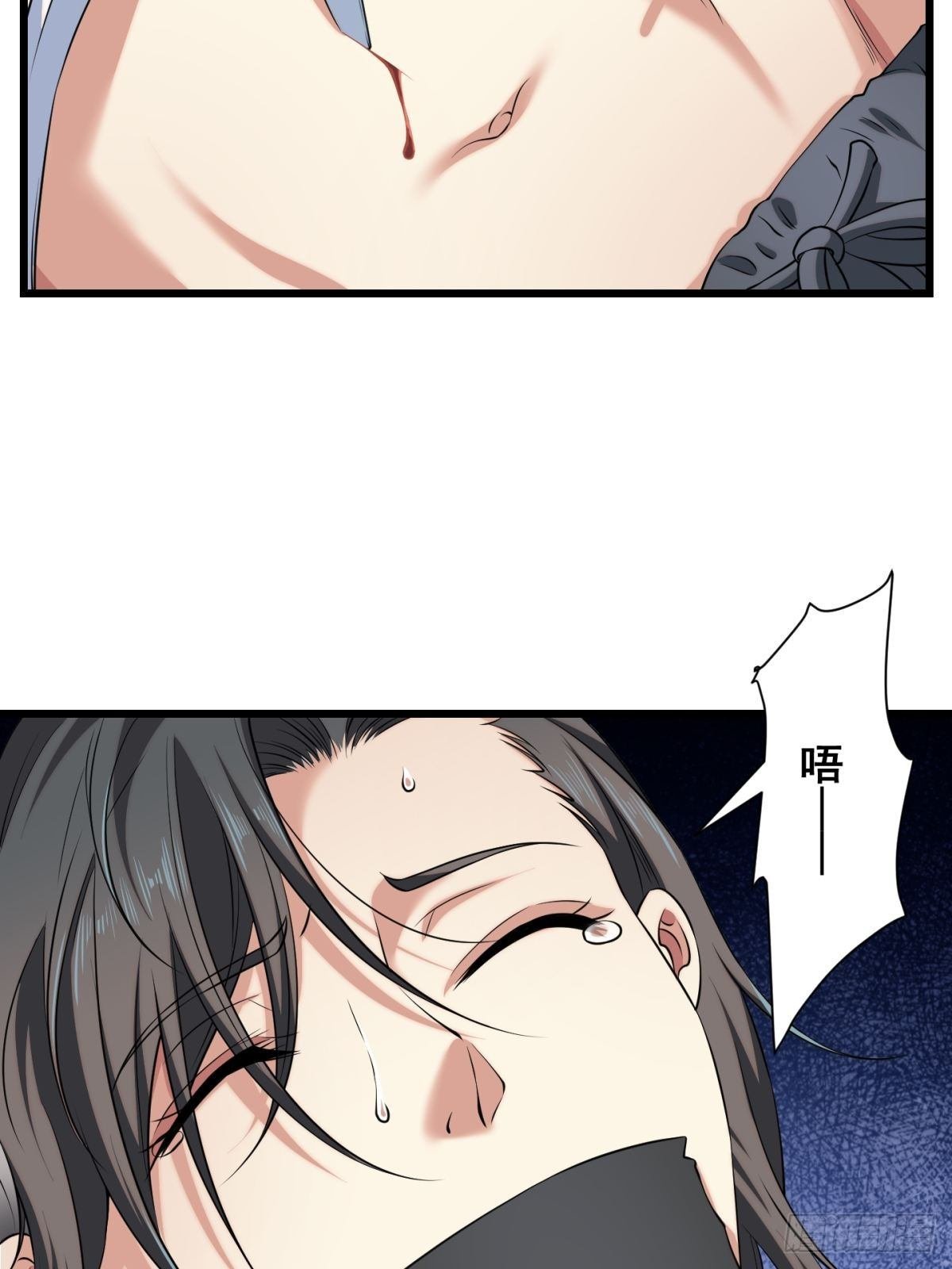 猫灵5