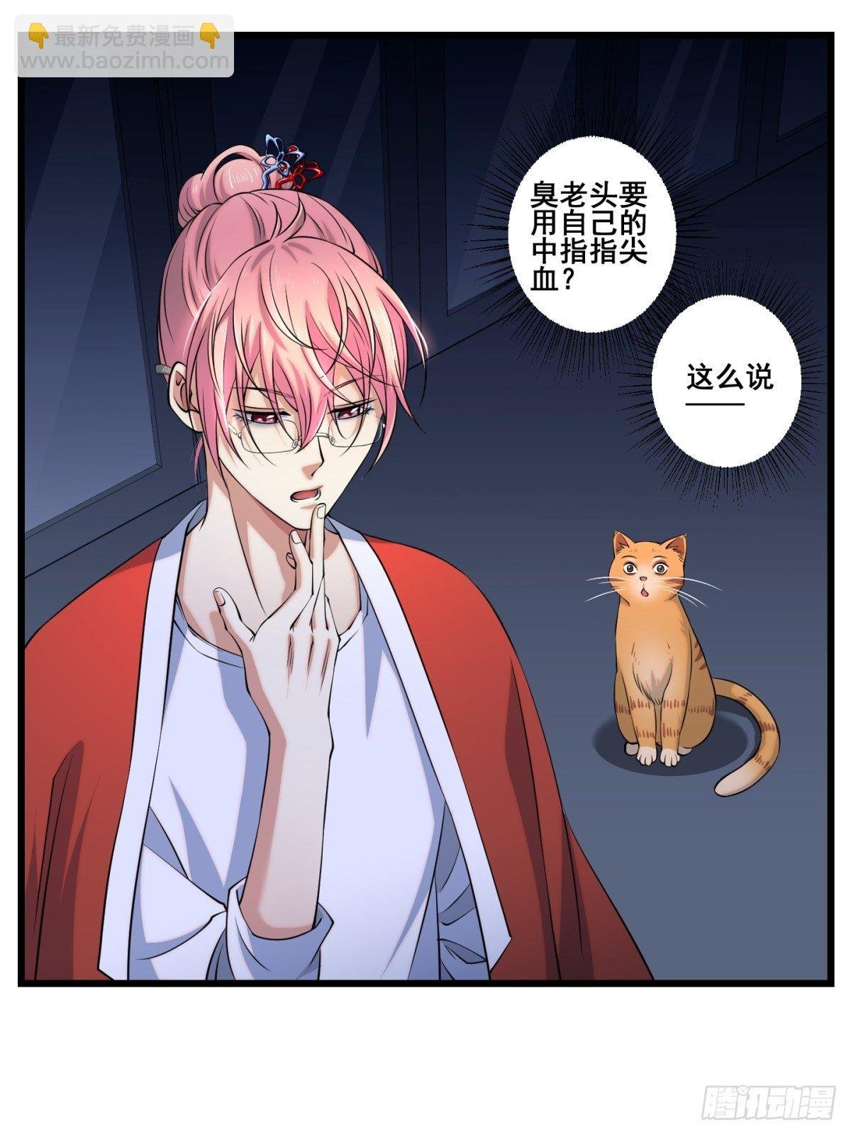 猫灵5