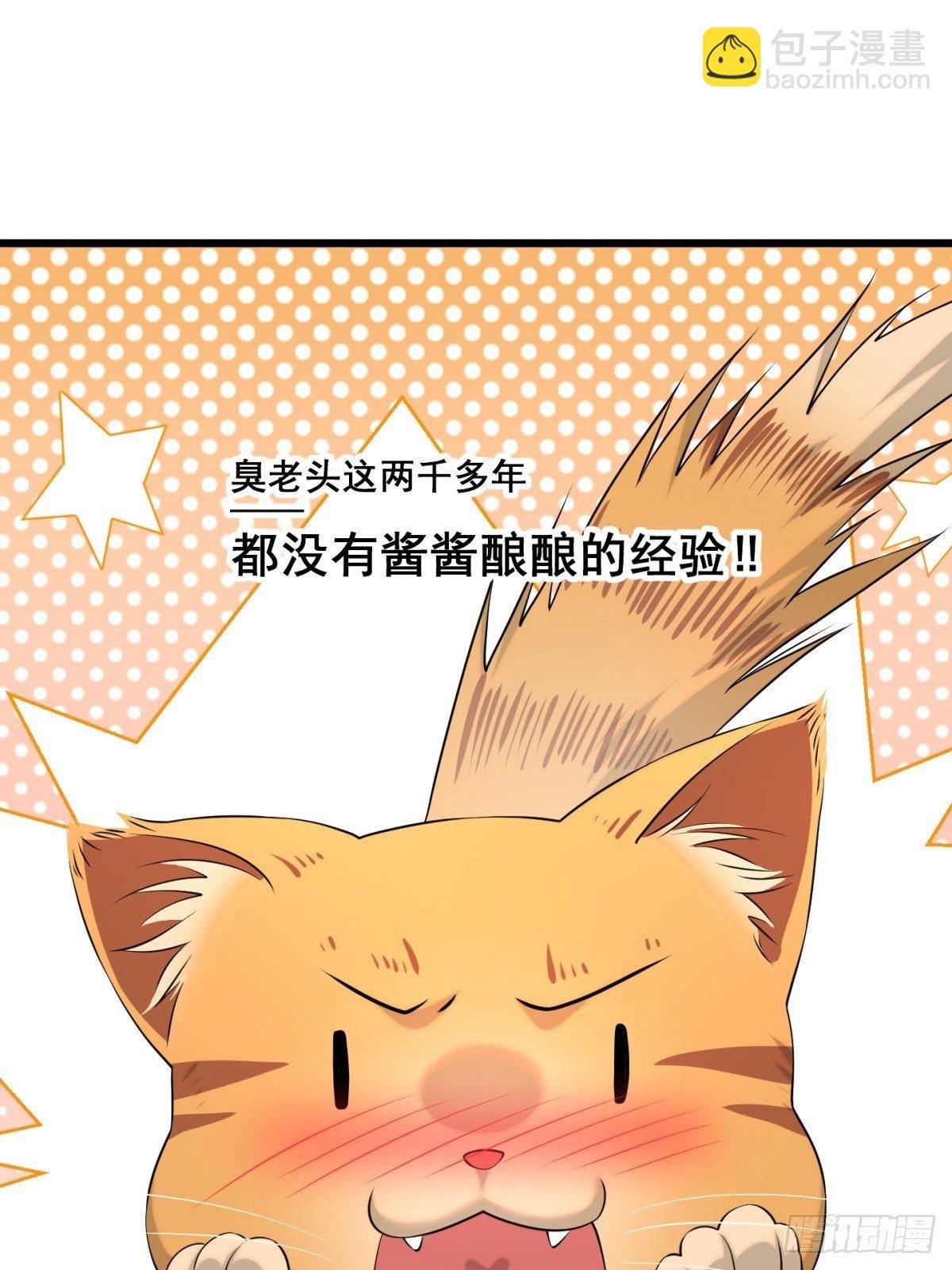 猫灵5