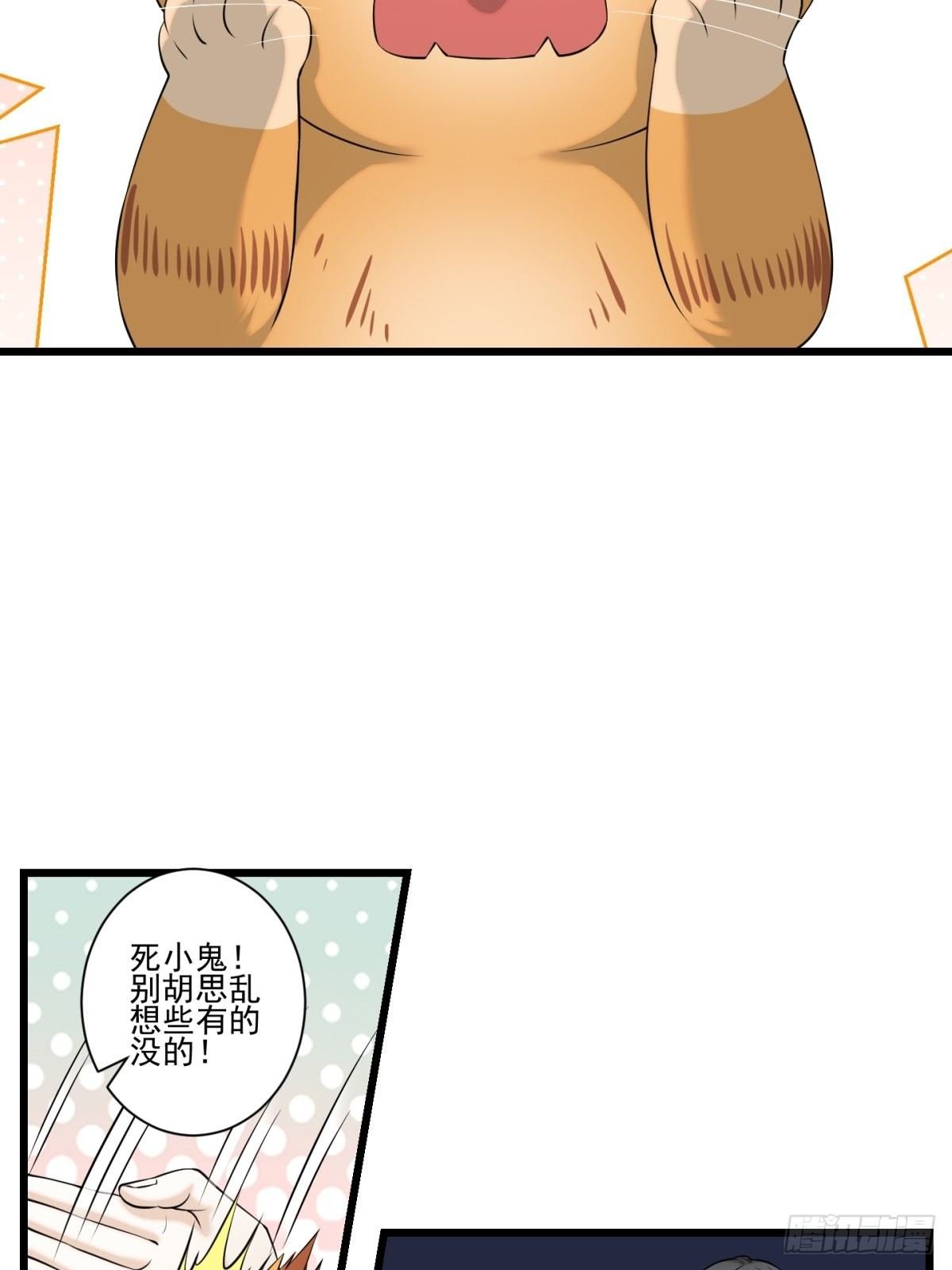 猫灵5