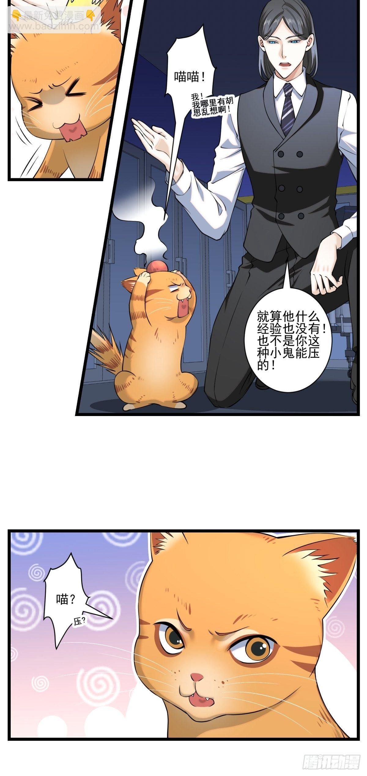 猫灵5