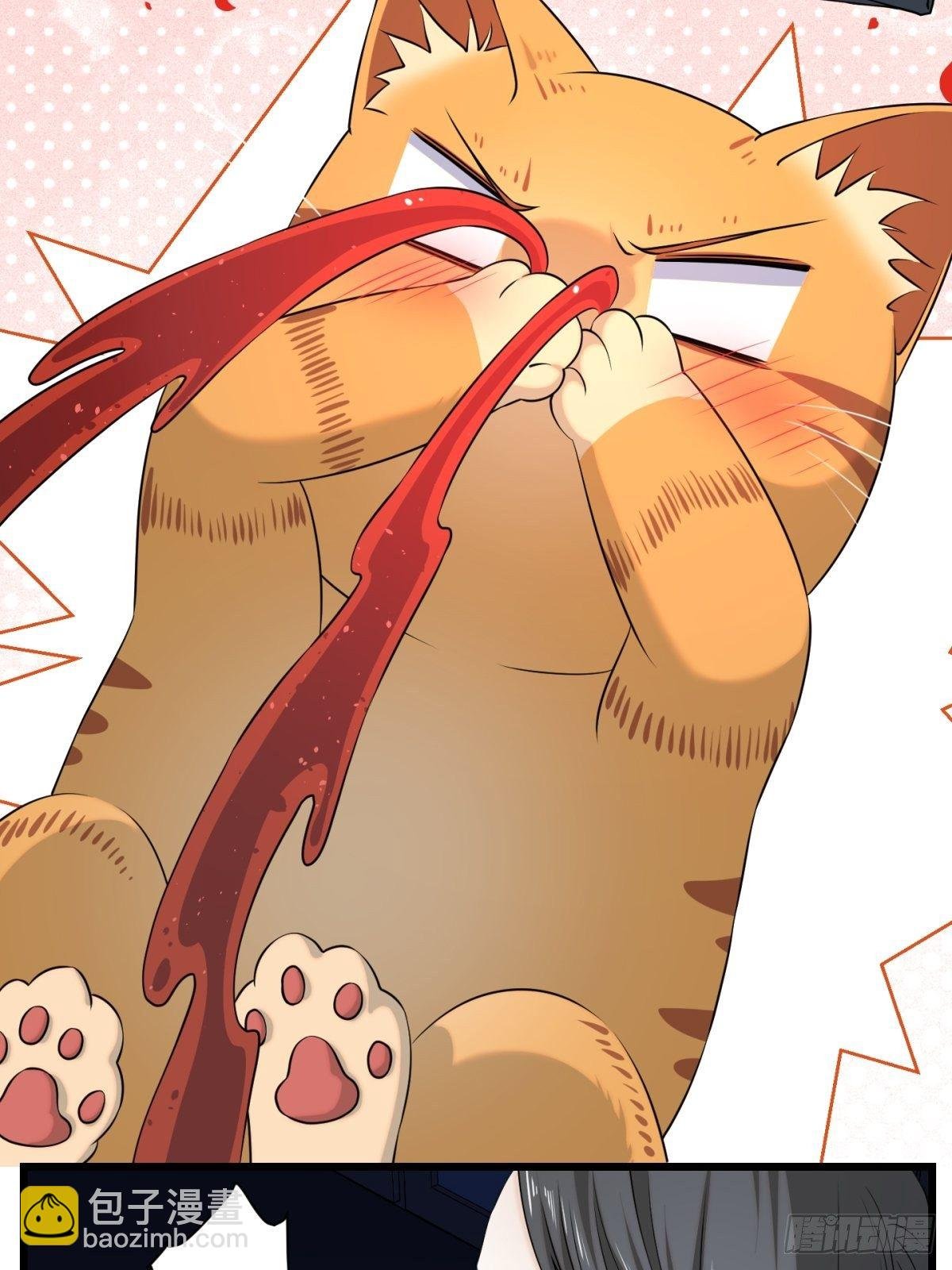 猫灵5