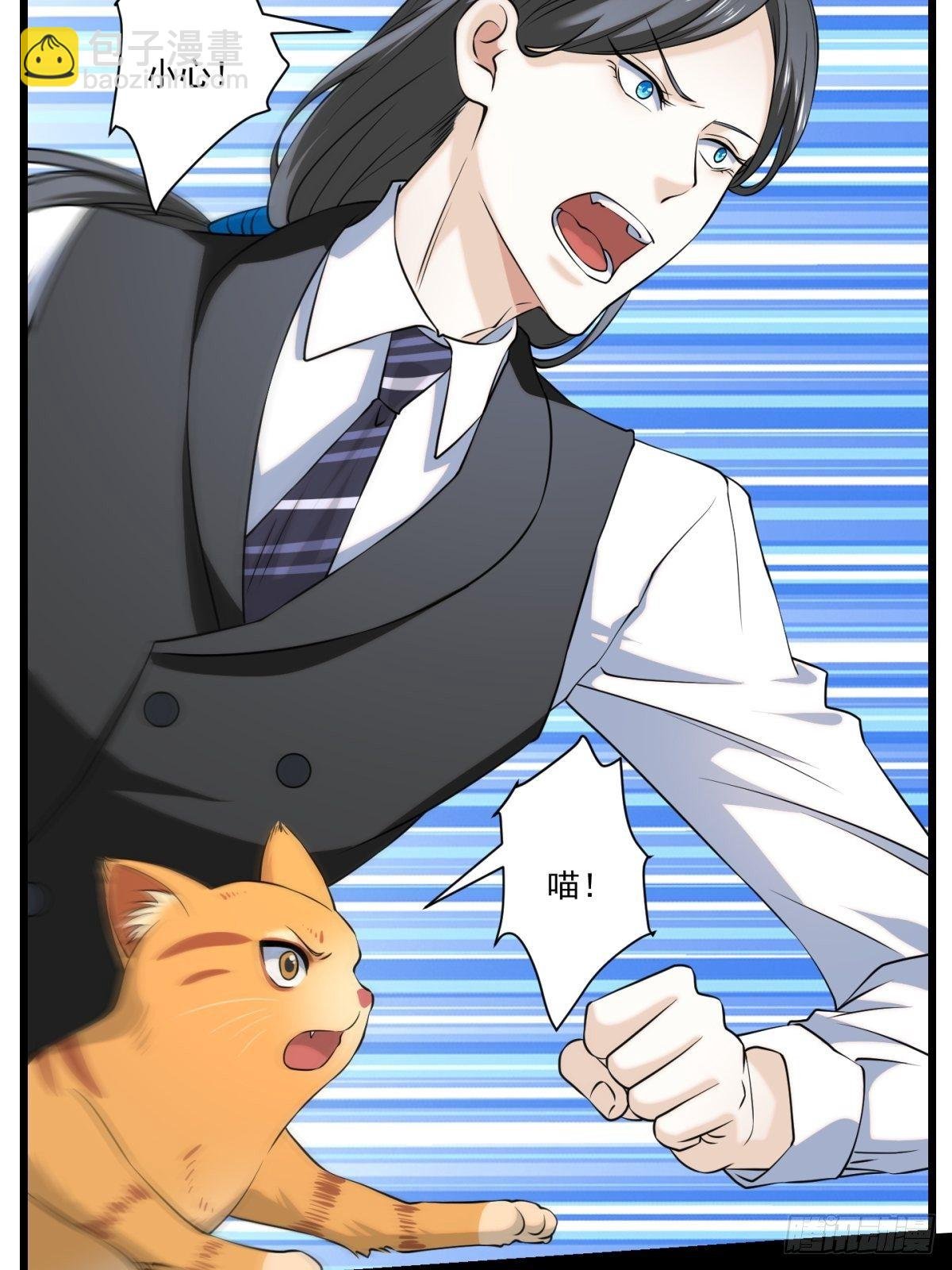猫灵5