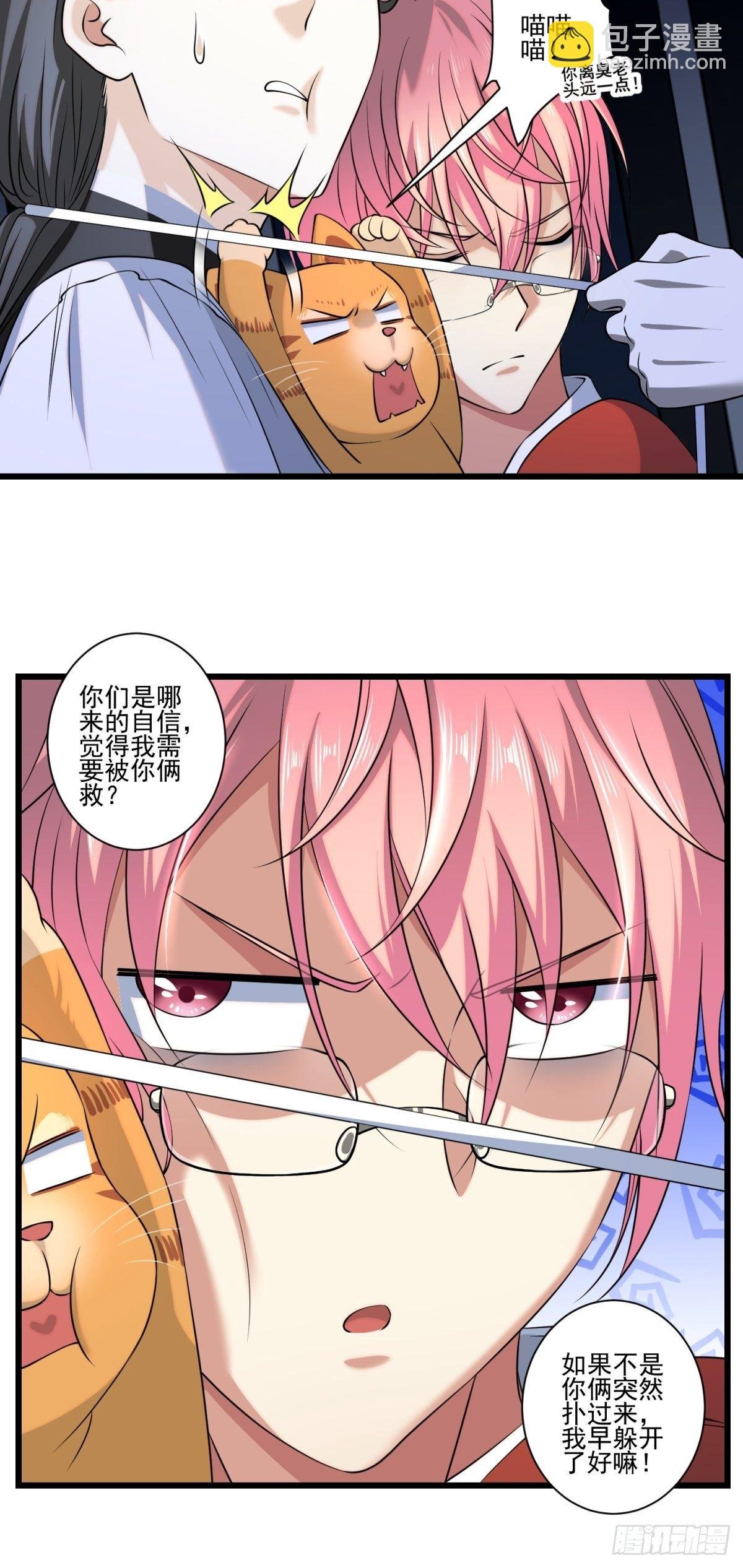 猫灵5