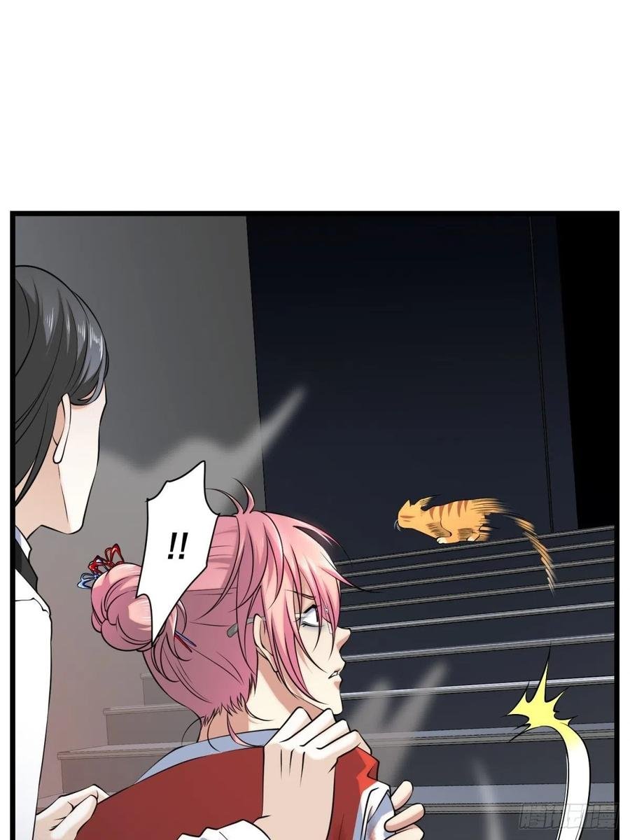 猫灵6