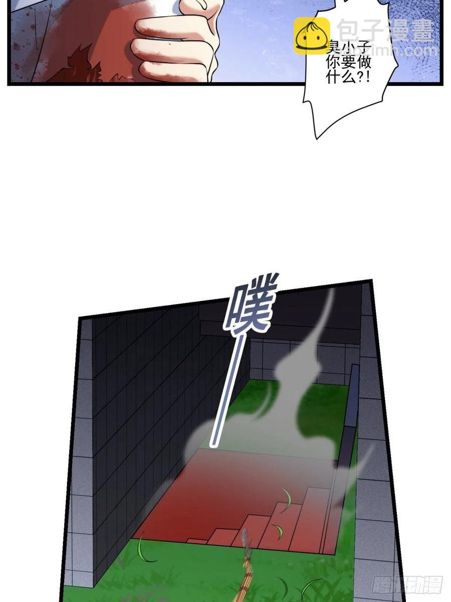 猫灵6