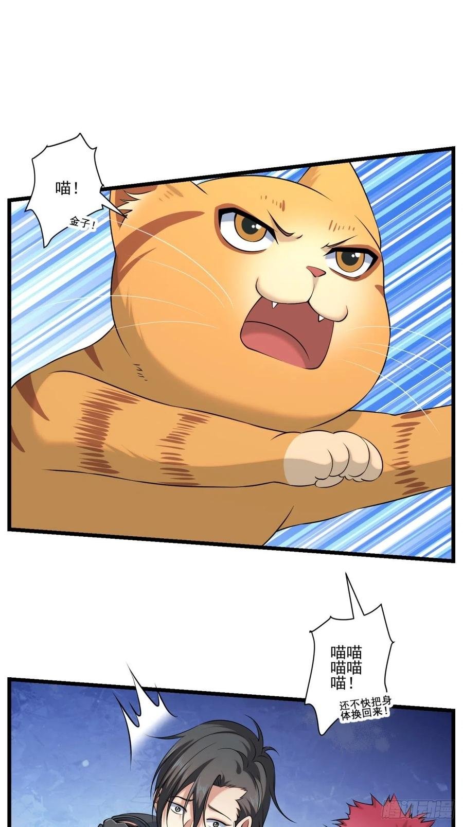 猫灵6