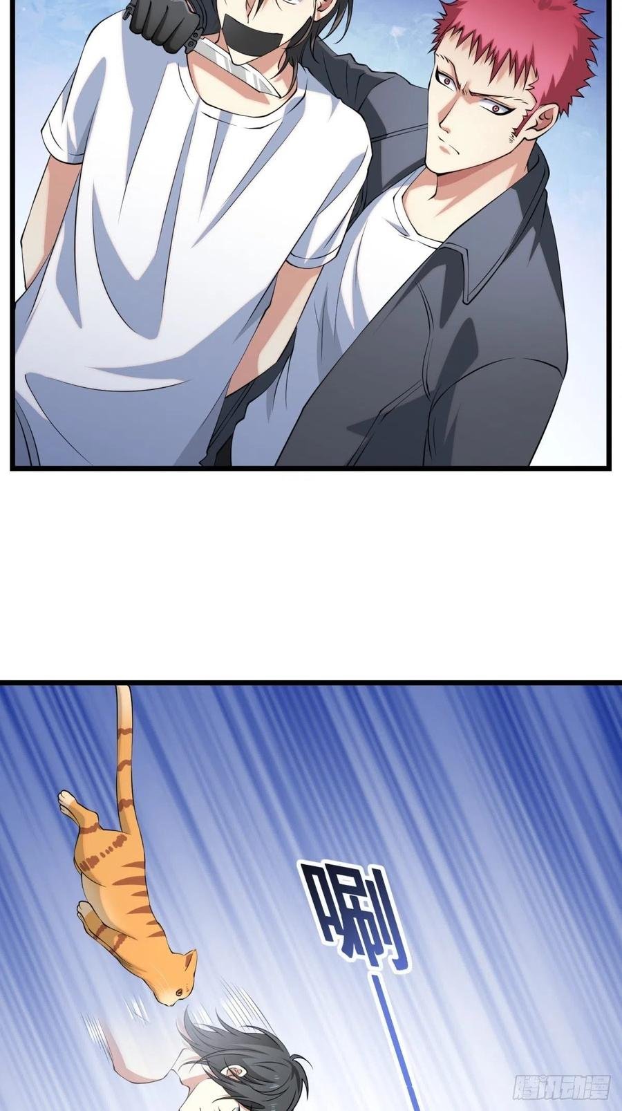 猫灵6