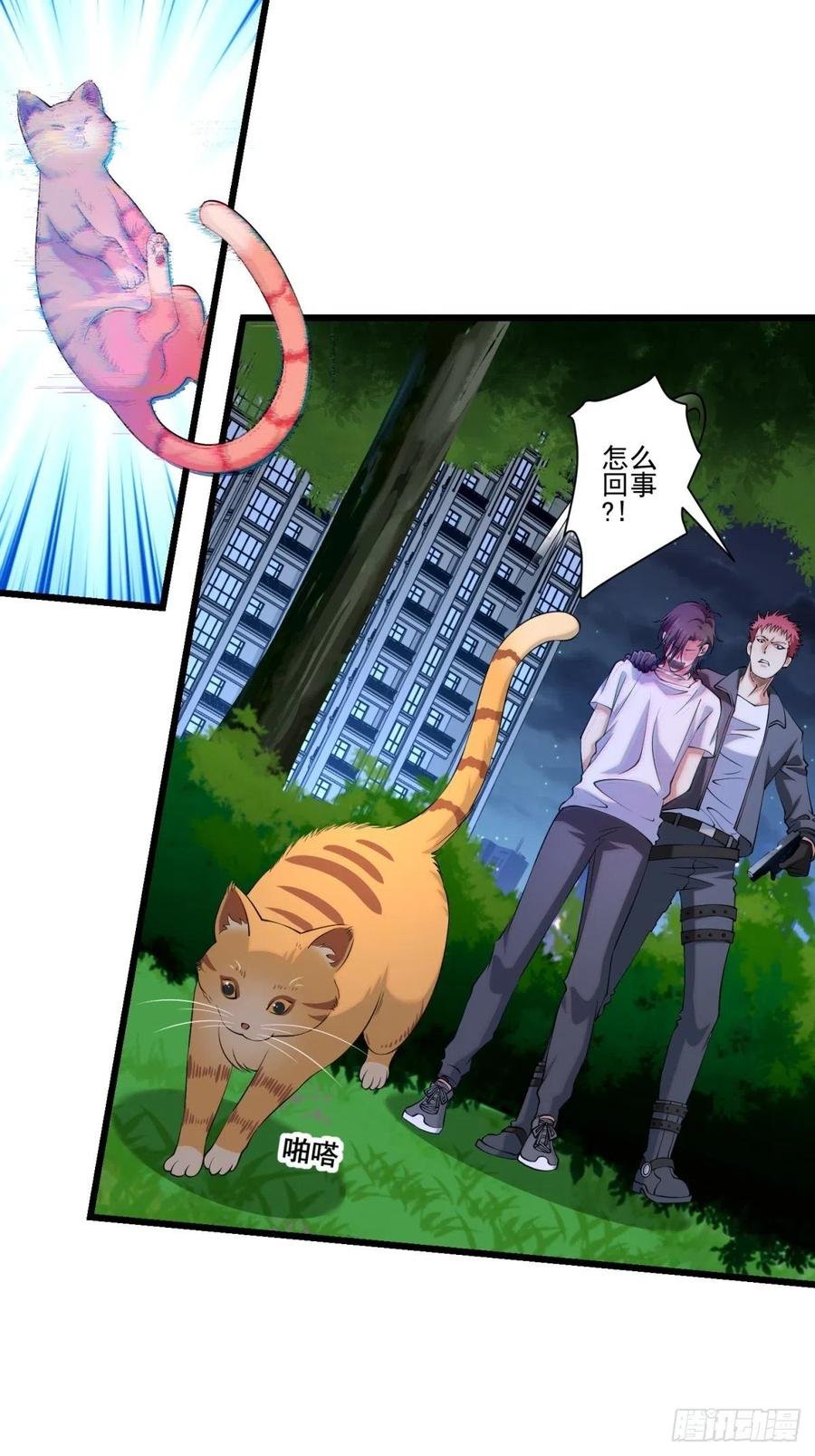 猫灵6