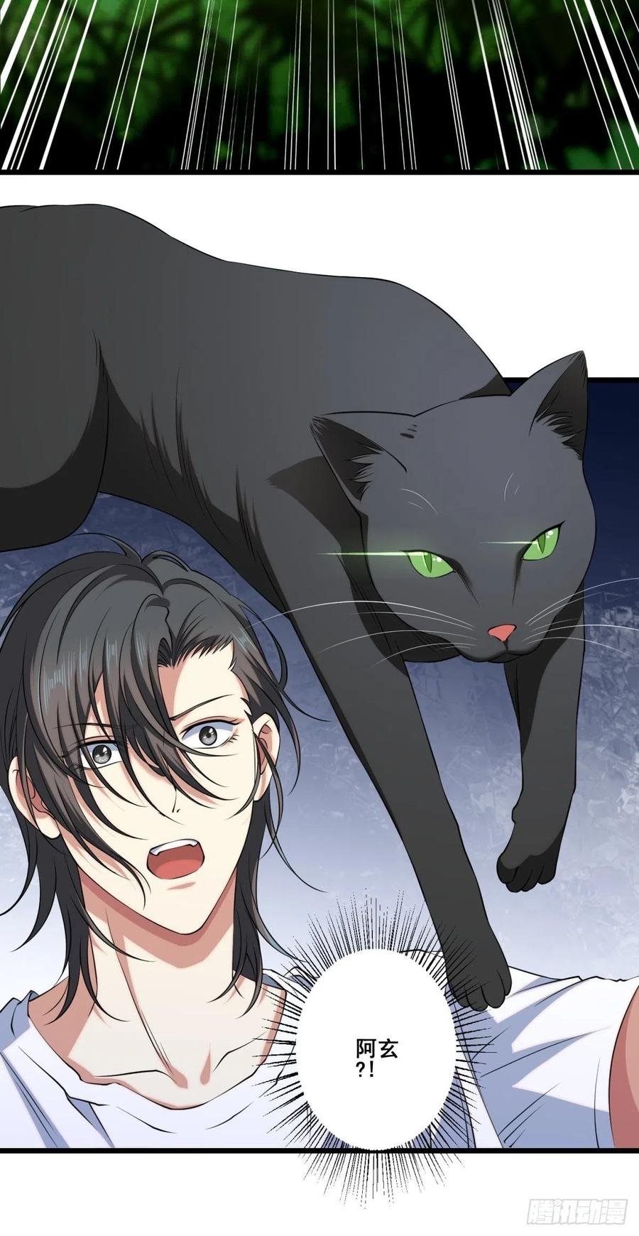 猫灵6