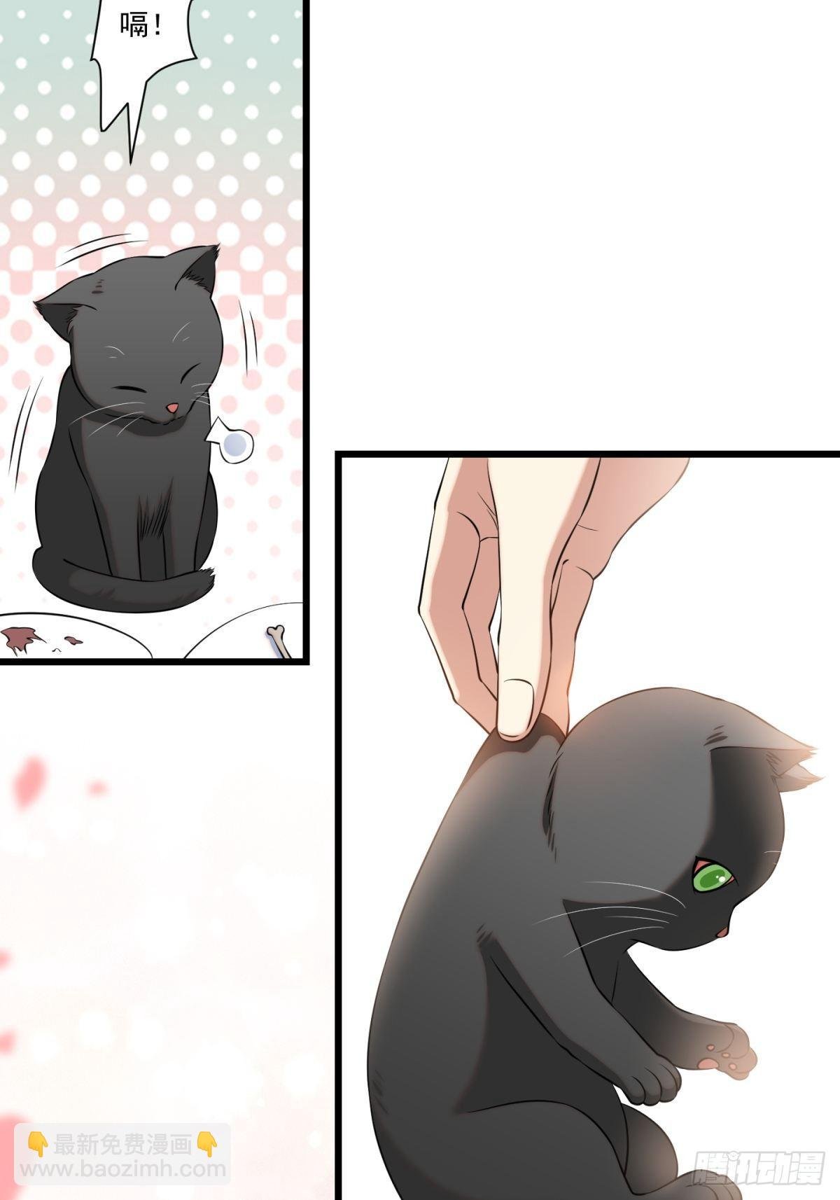 猫灵8