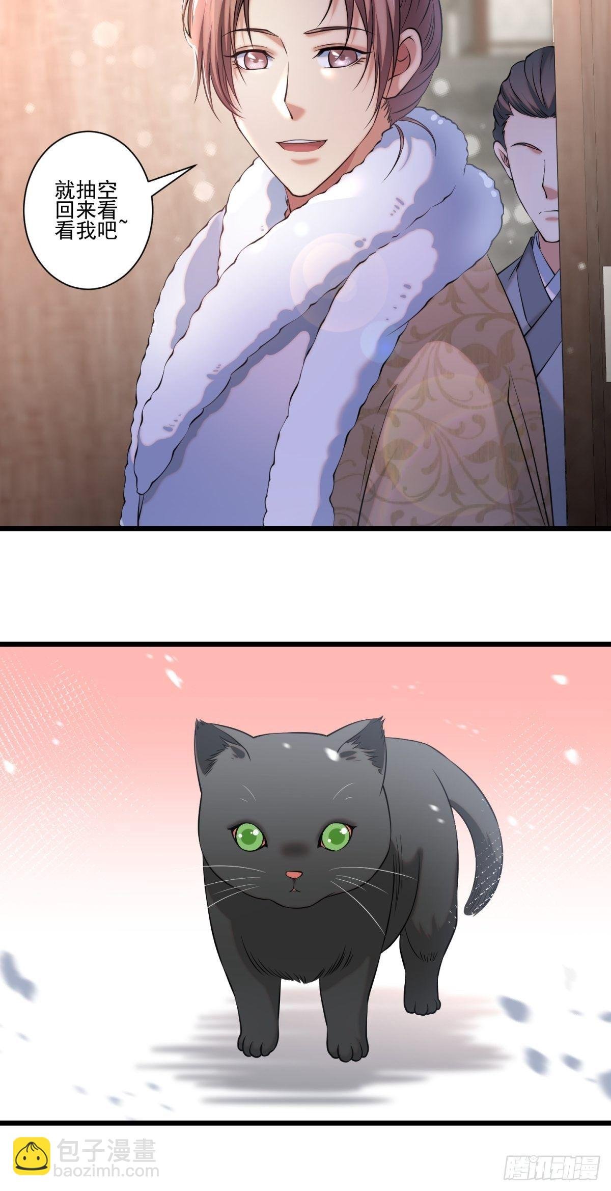 猫灵8