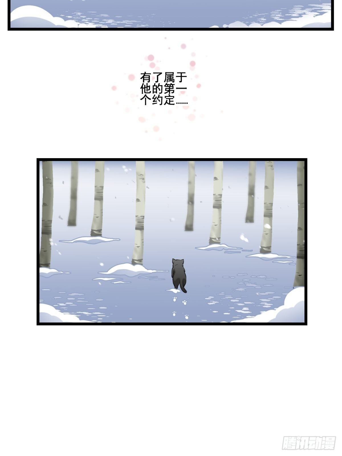 猫灵8