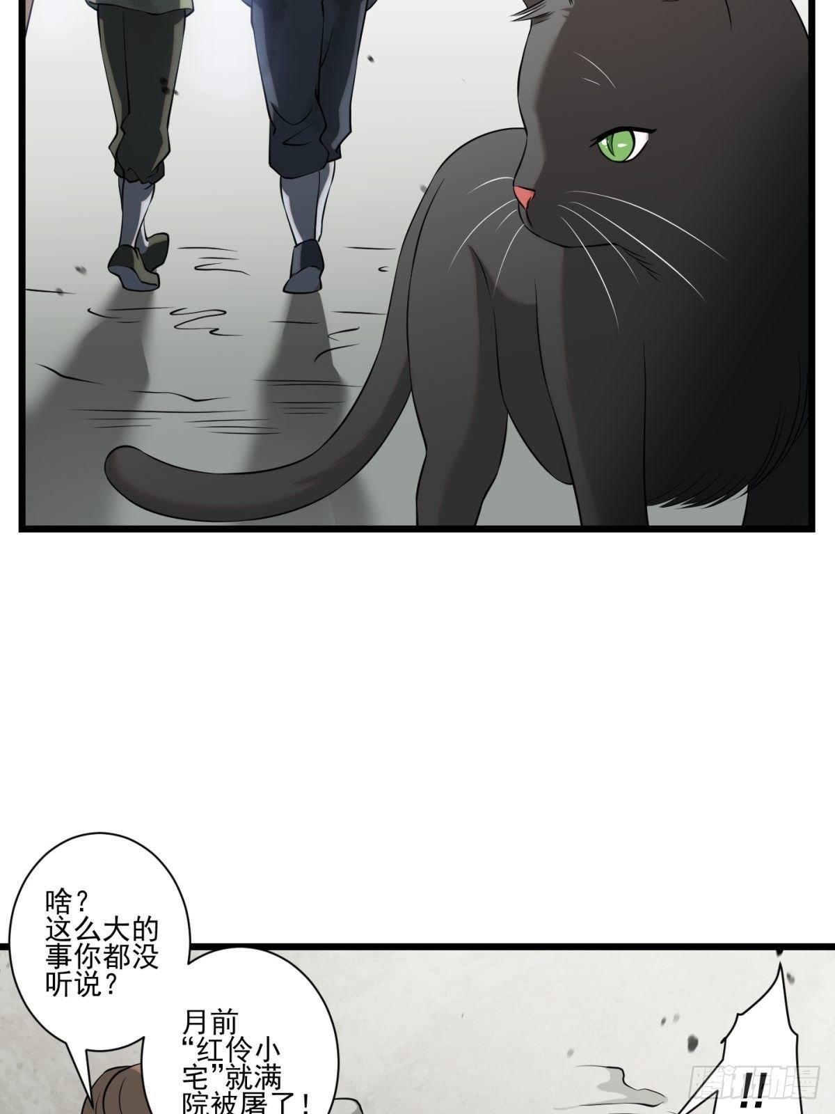 猫灵8
