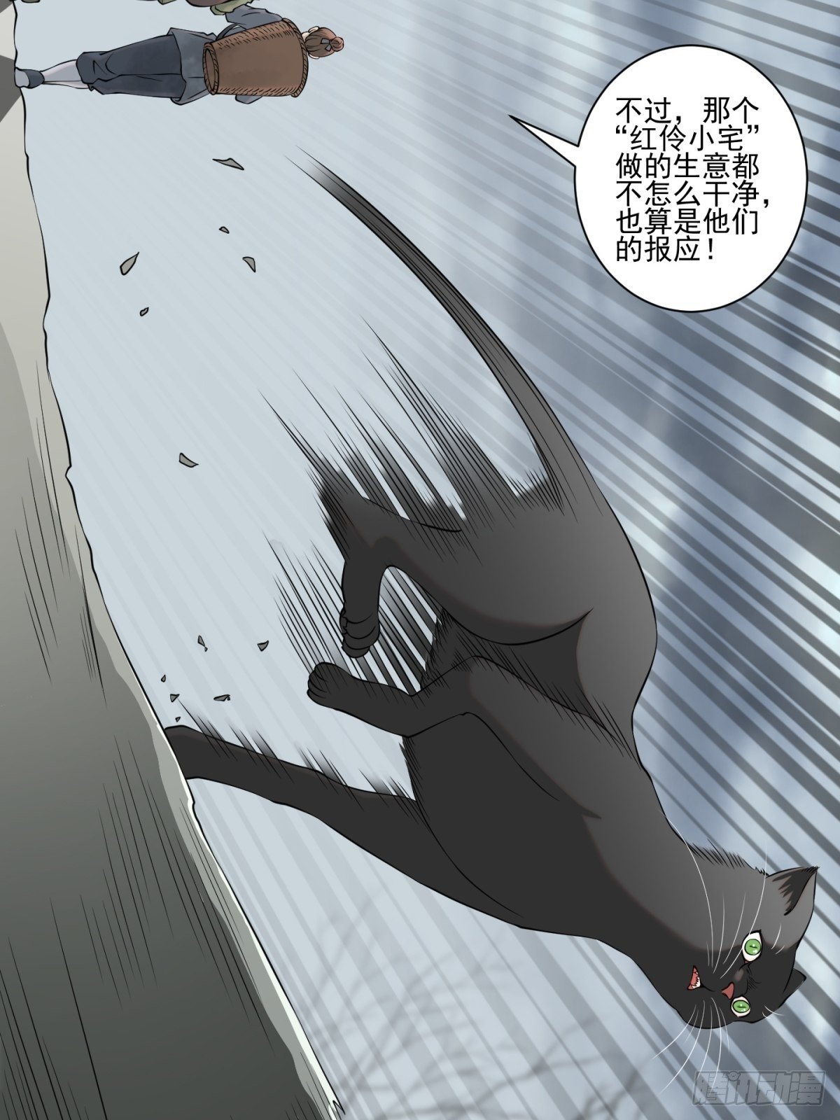 猫灵8