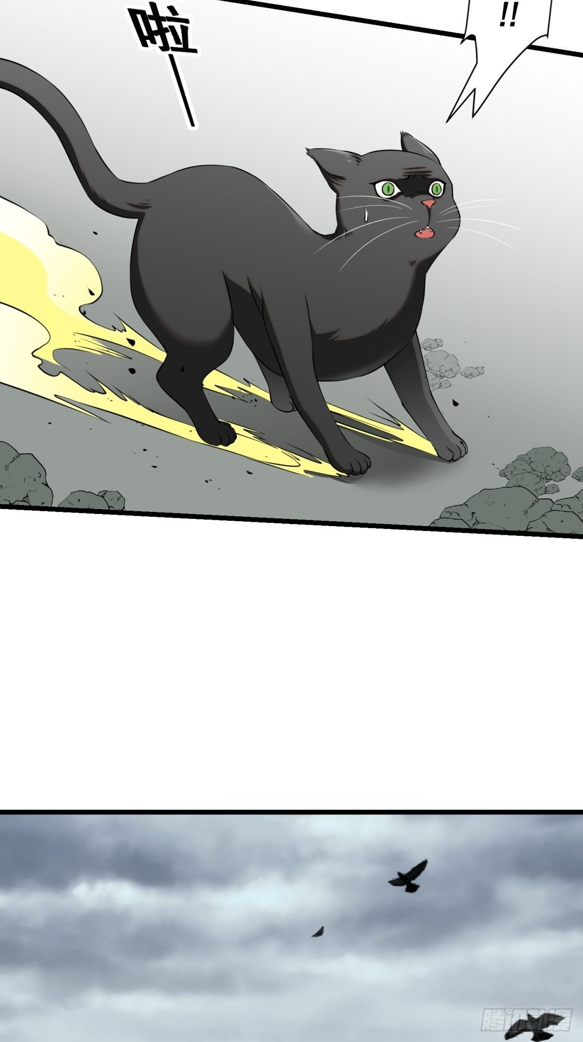 猫灵8