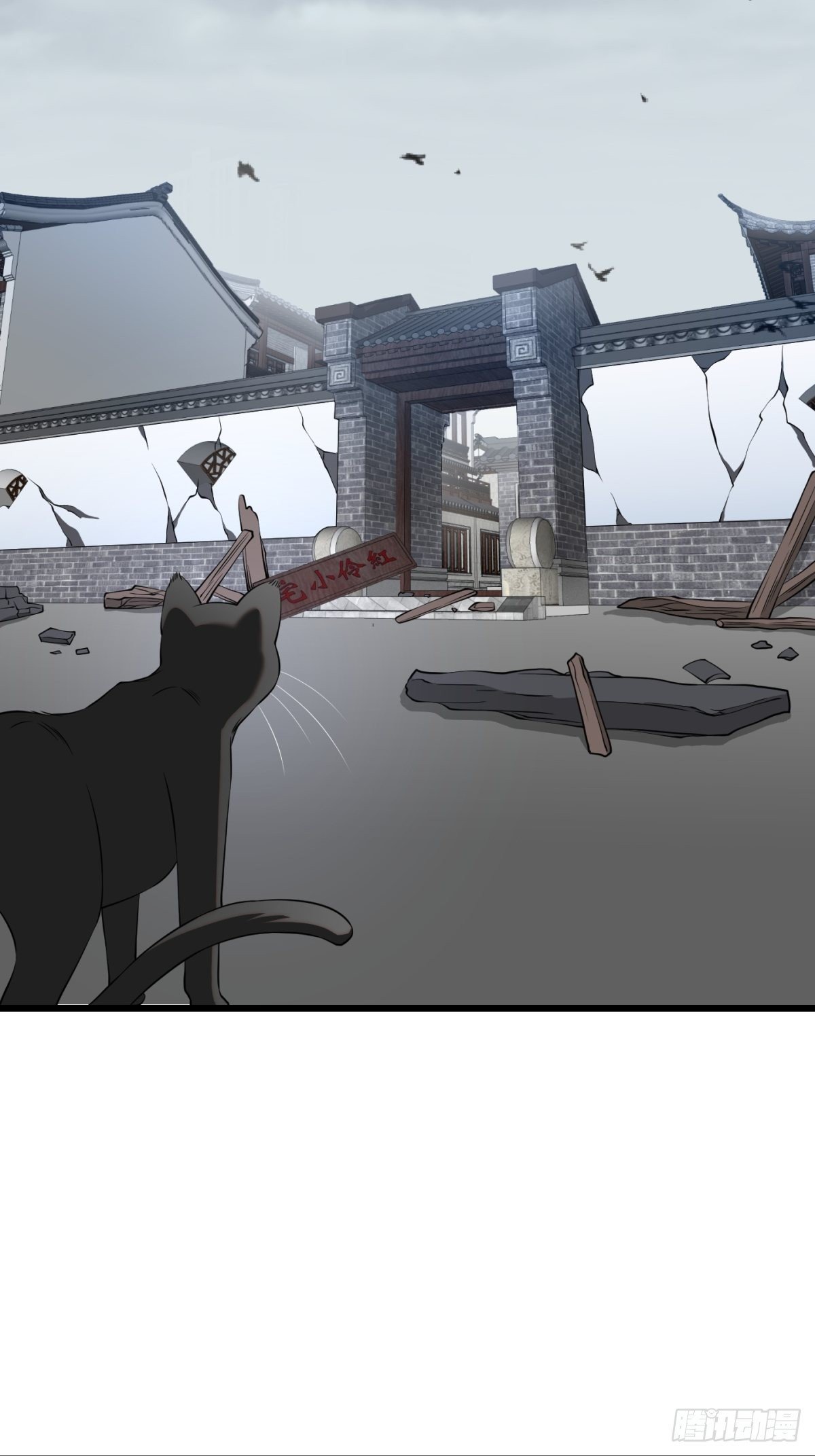 猫灵8