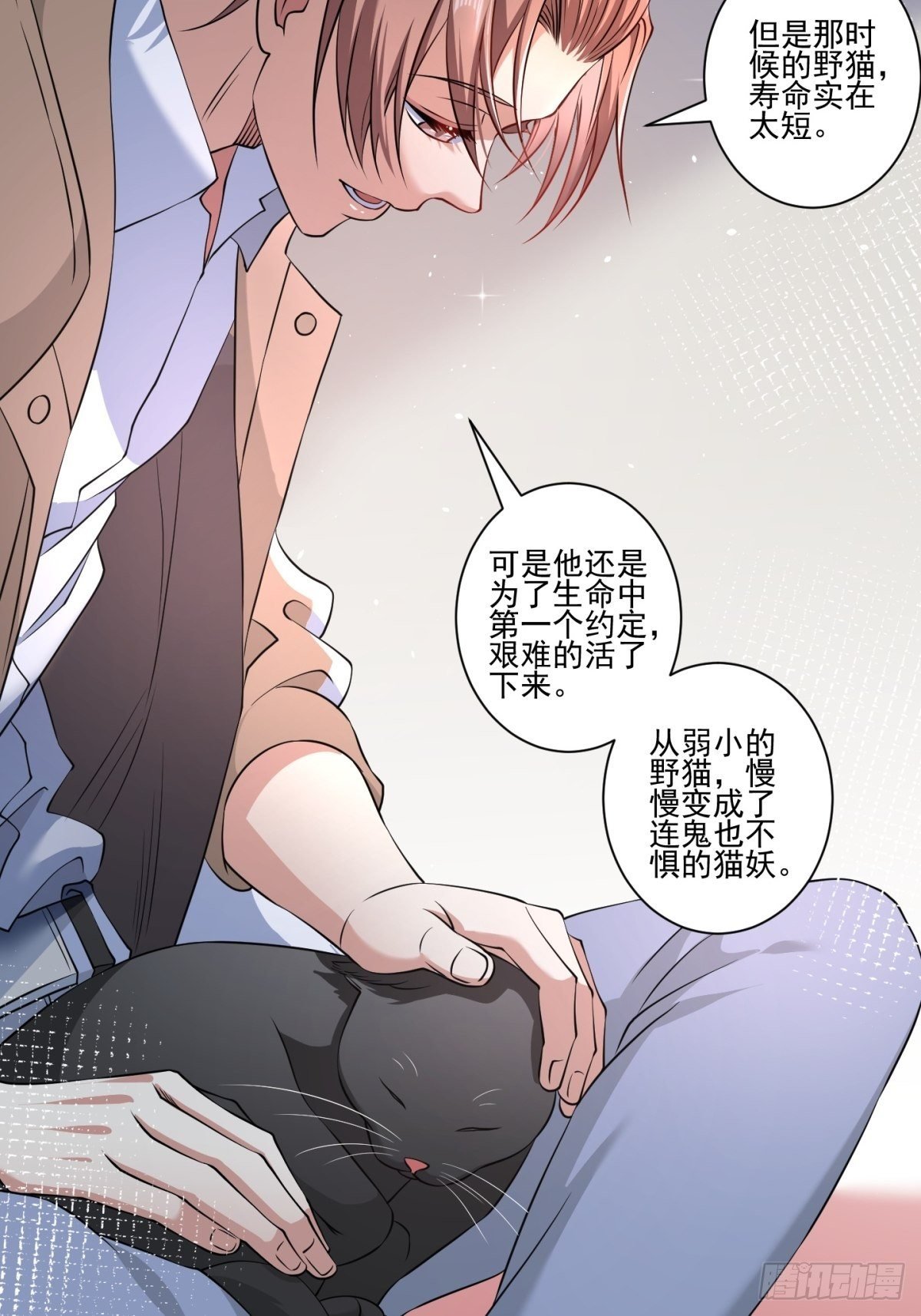猫灵8