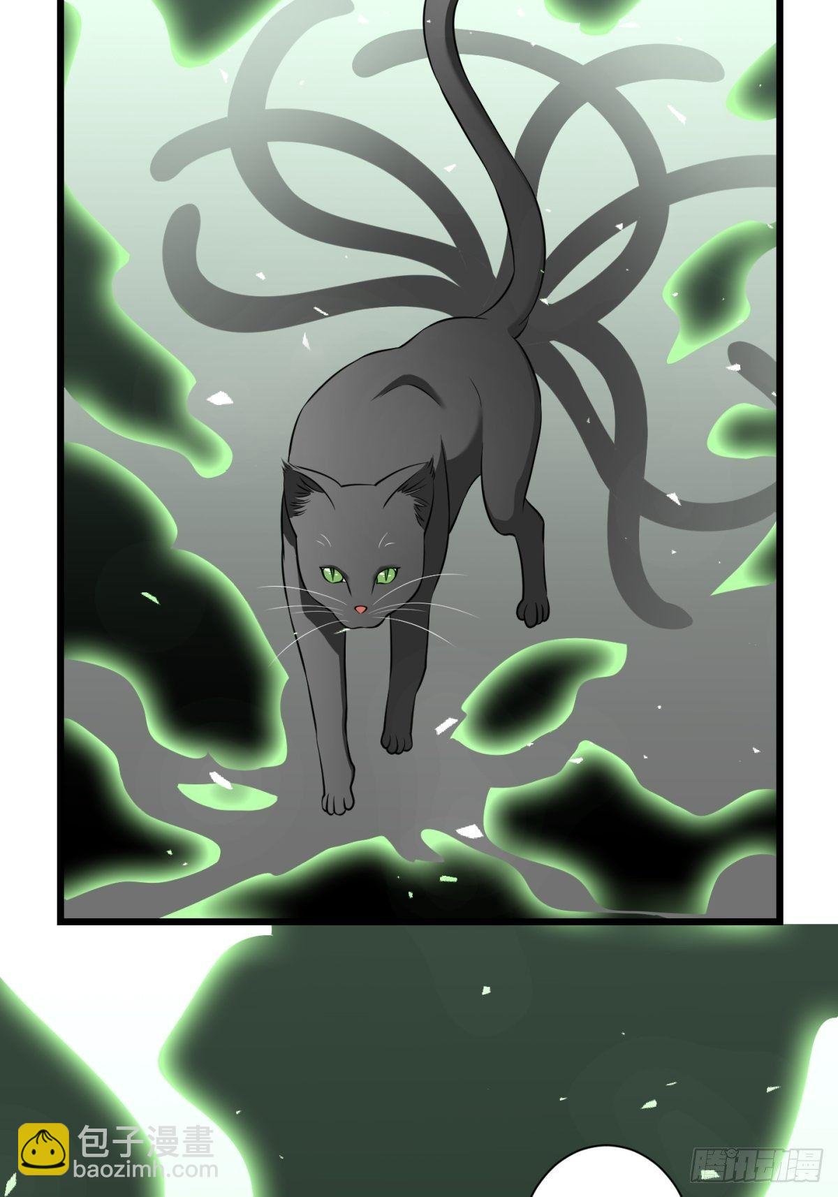 猫灵8