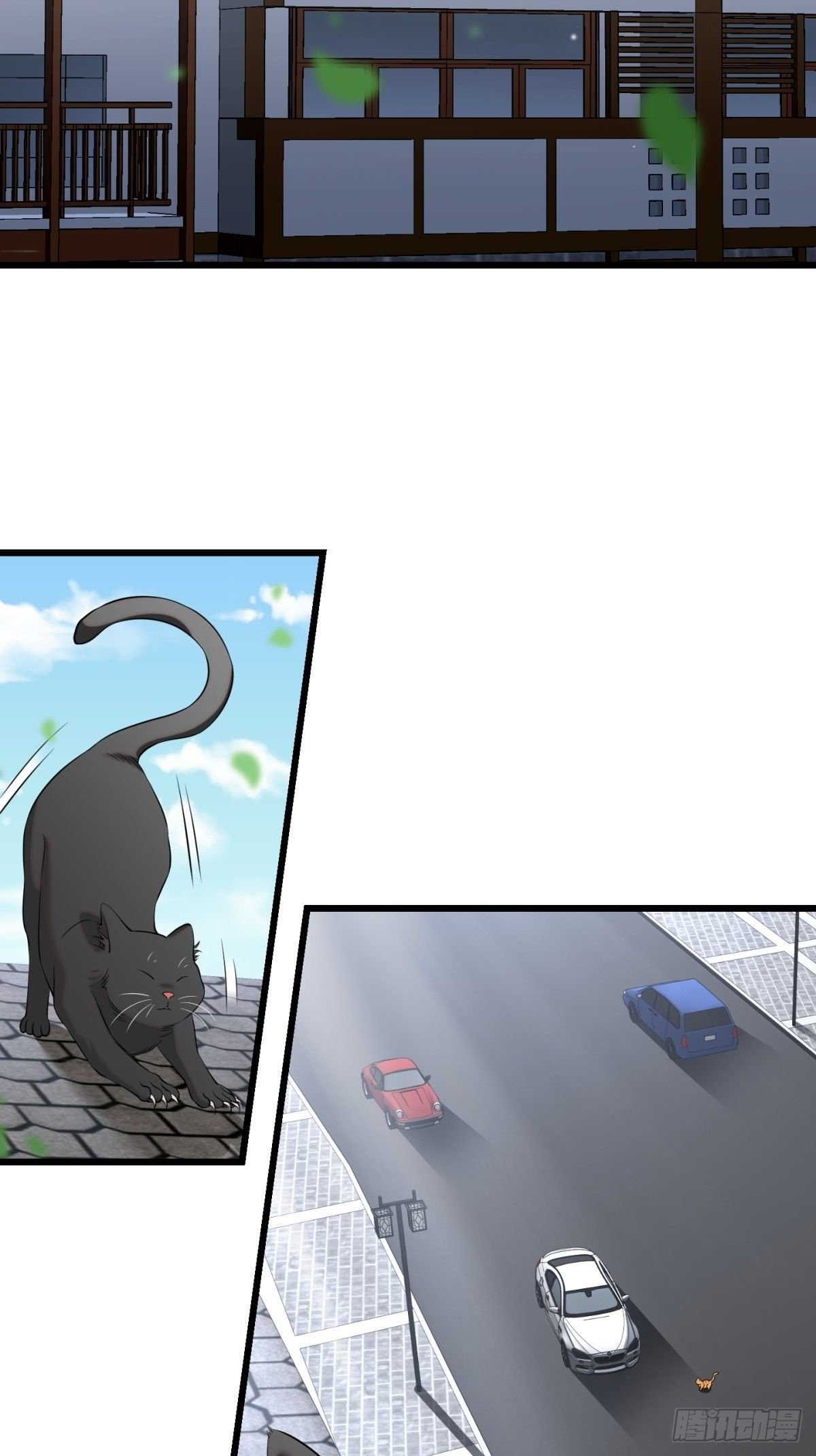 猫灵11