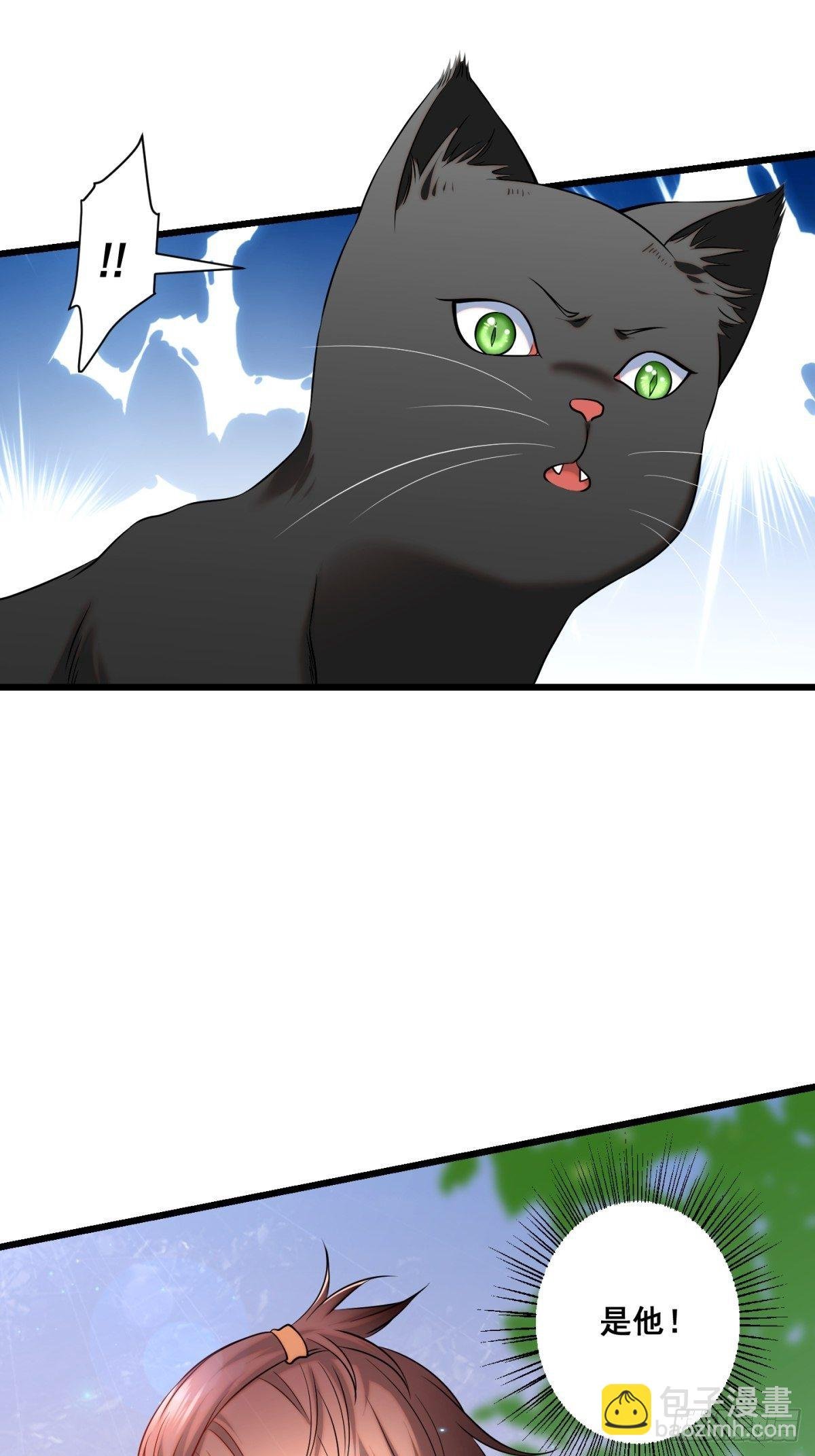 猫灵11