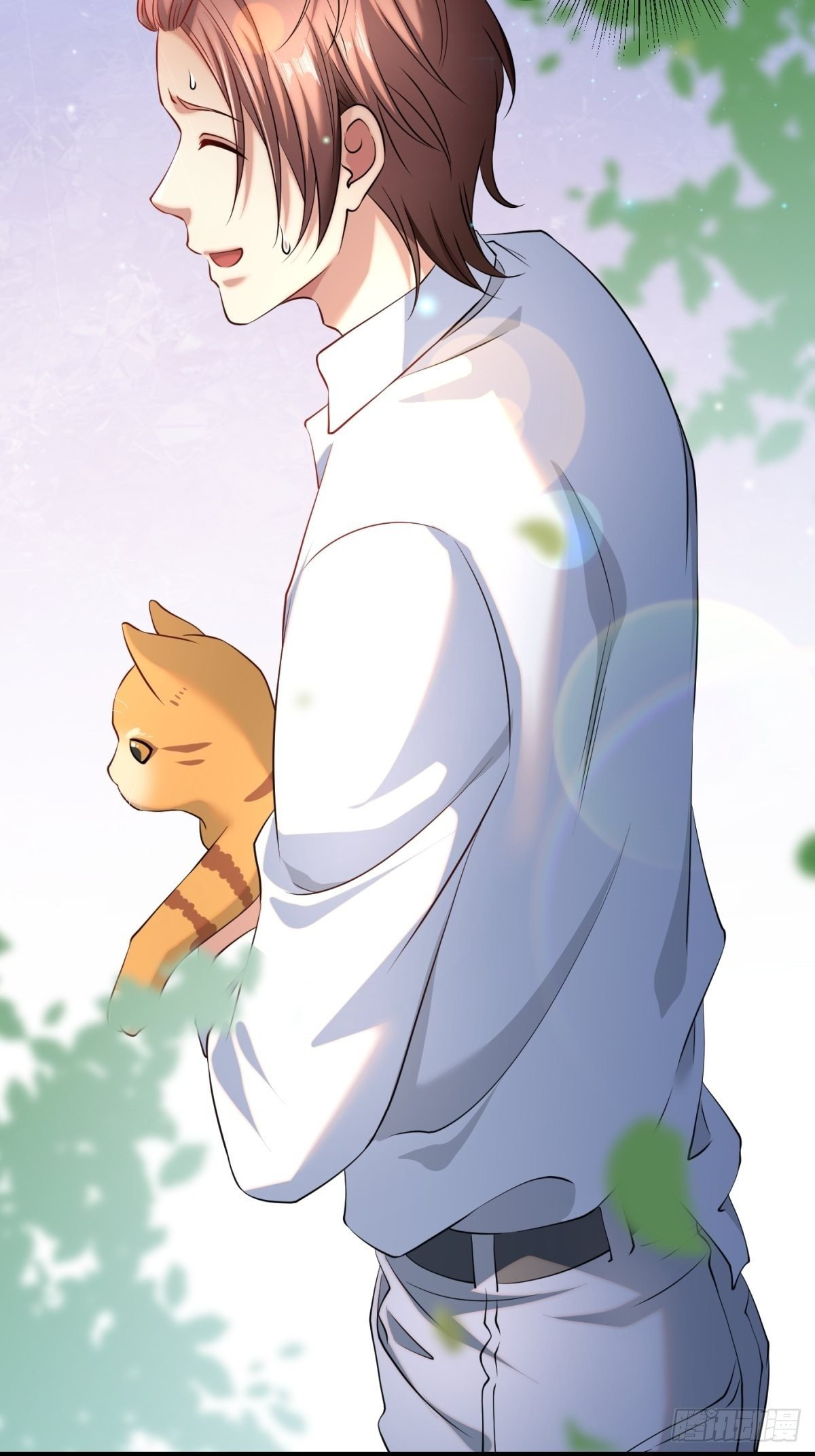猫灵11