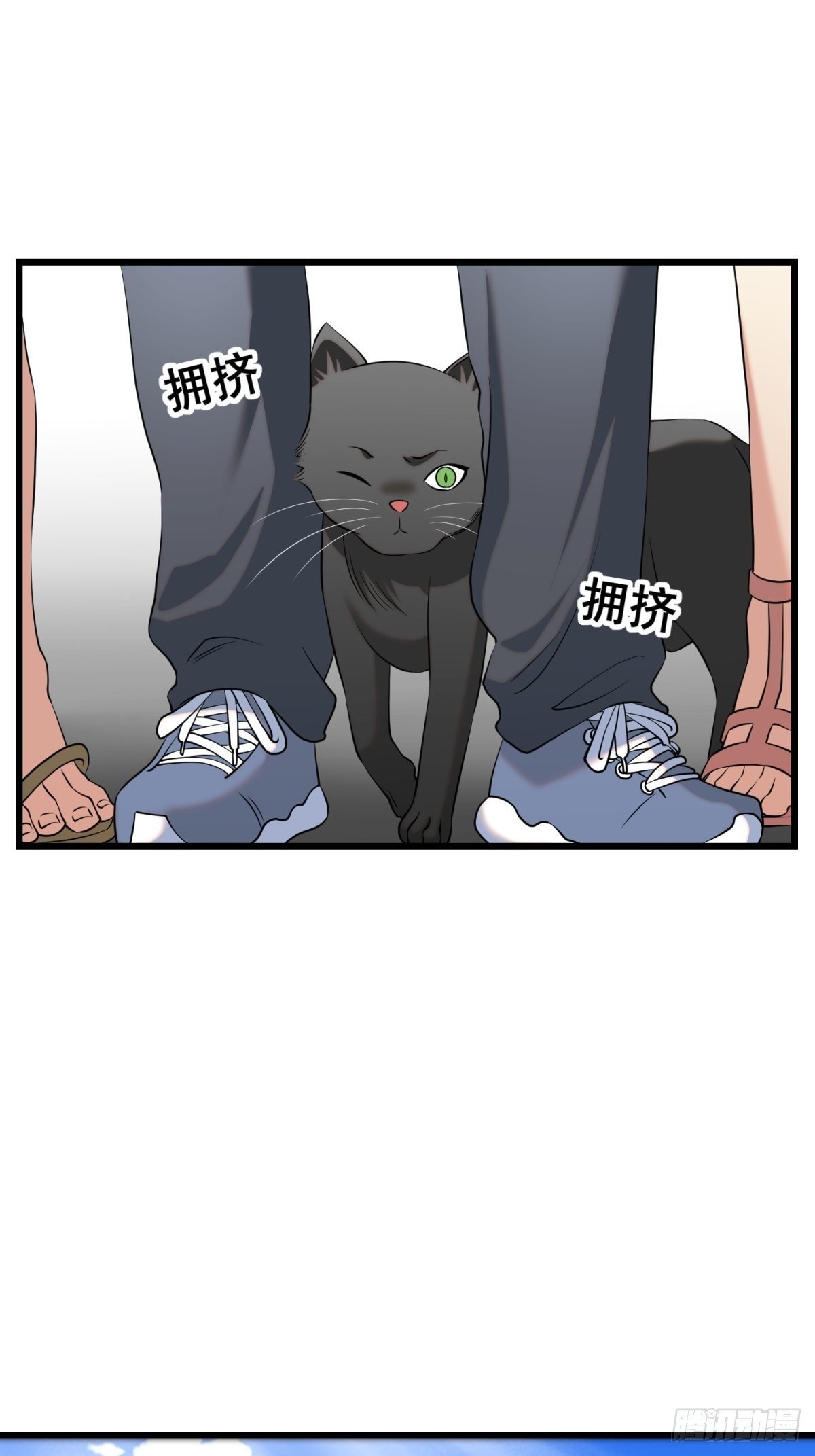 猫灵11