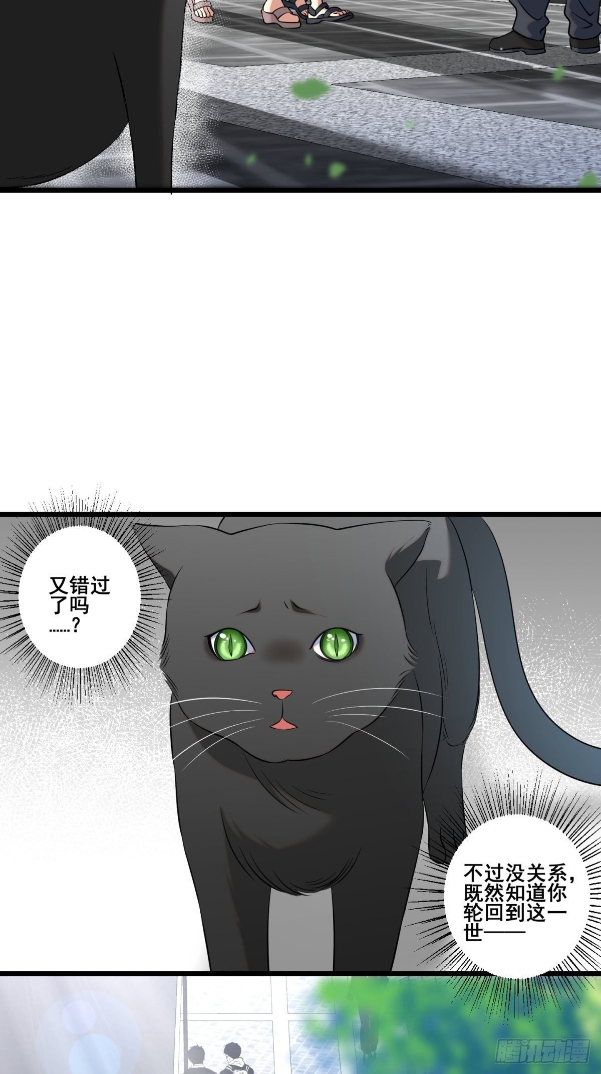 猫灵11