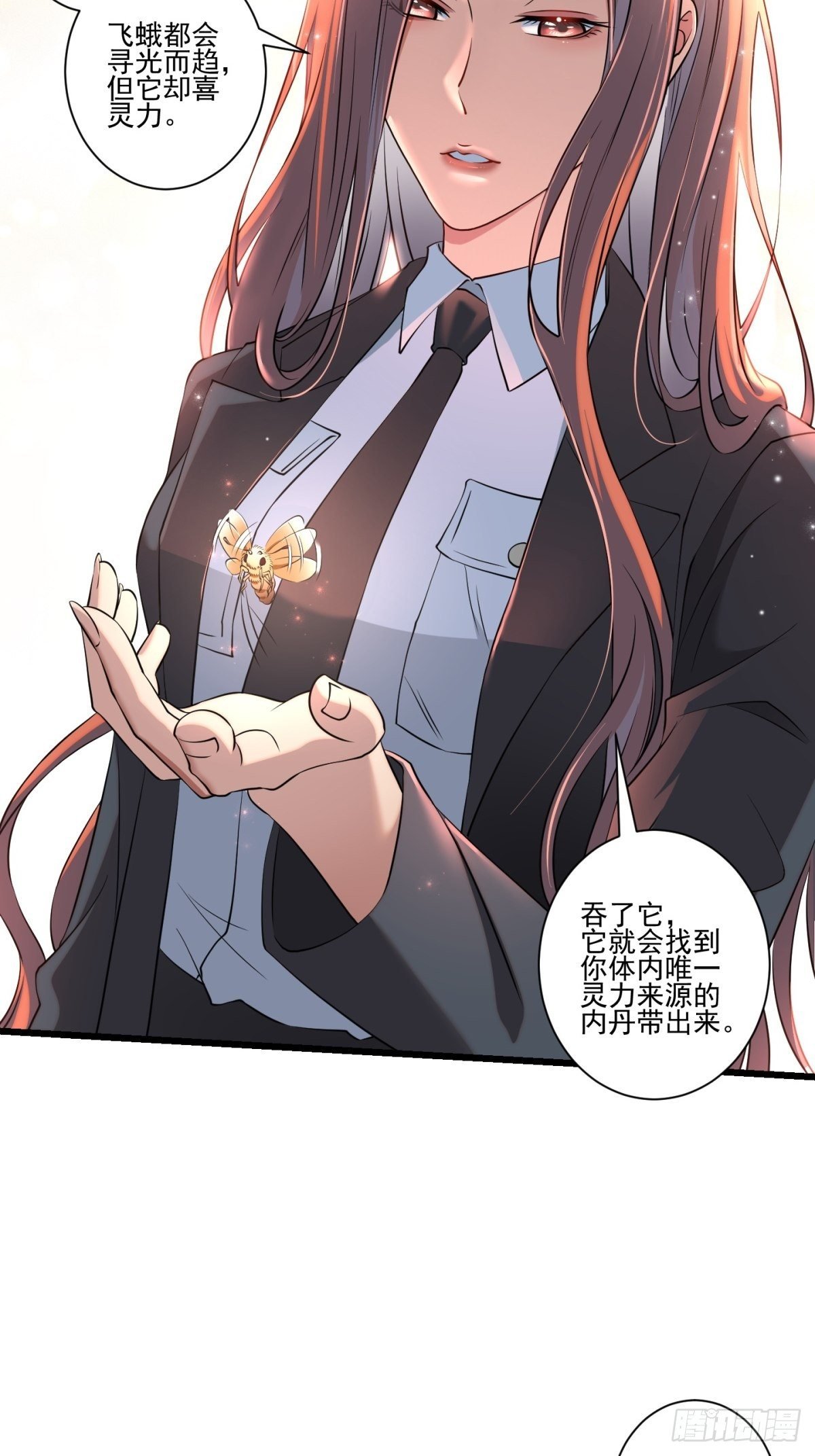 猫灵11