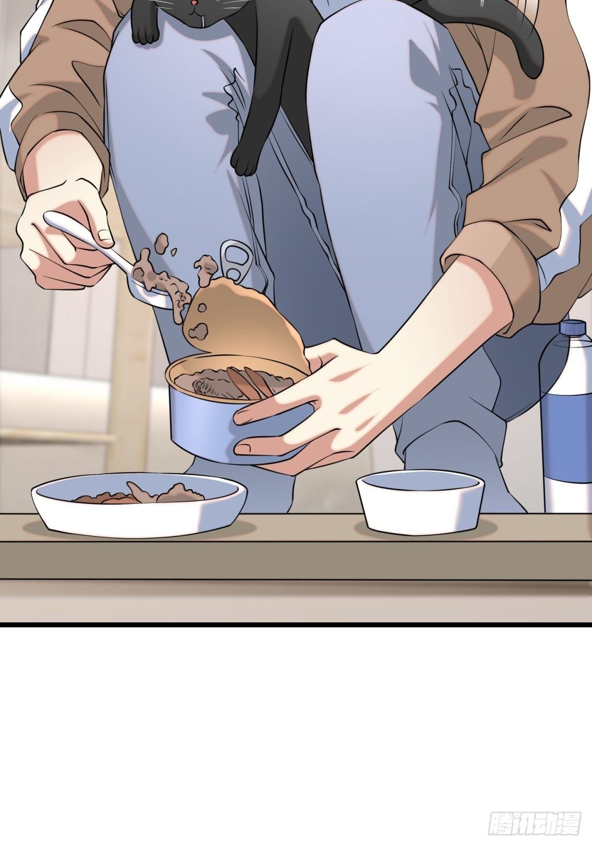 猫灵11