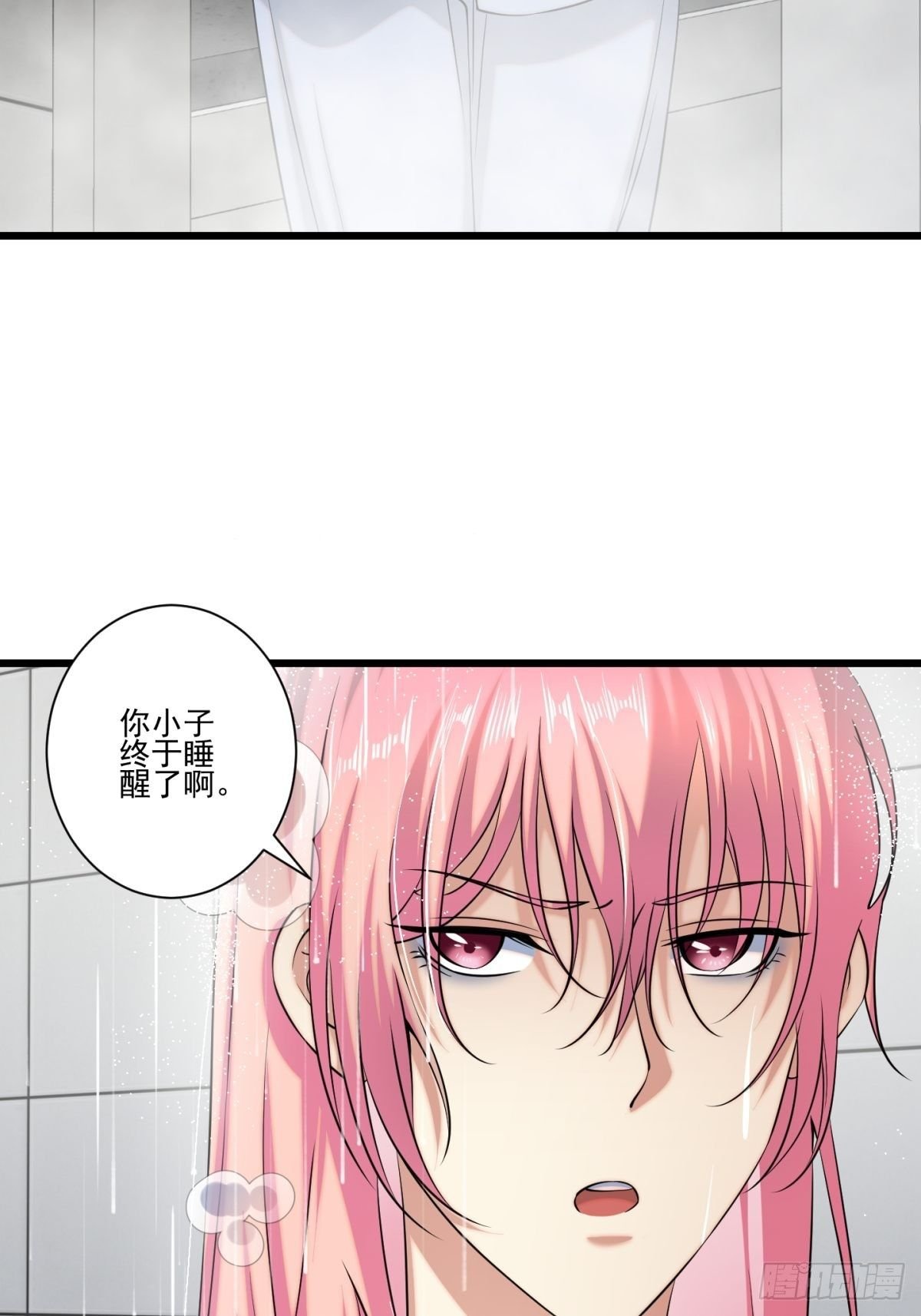 猫灵11