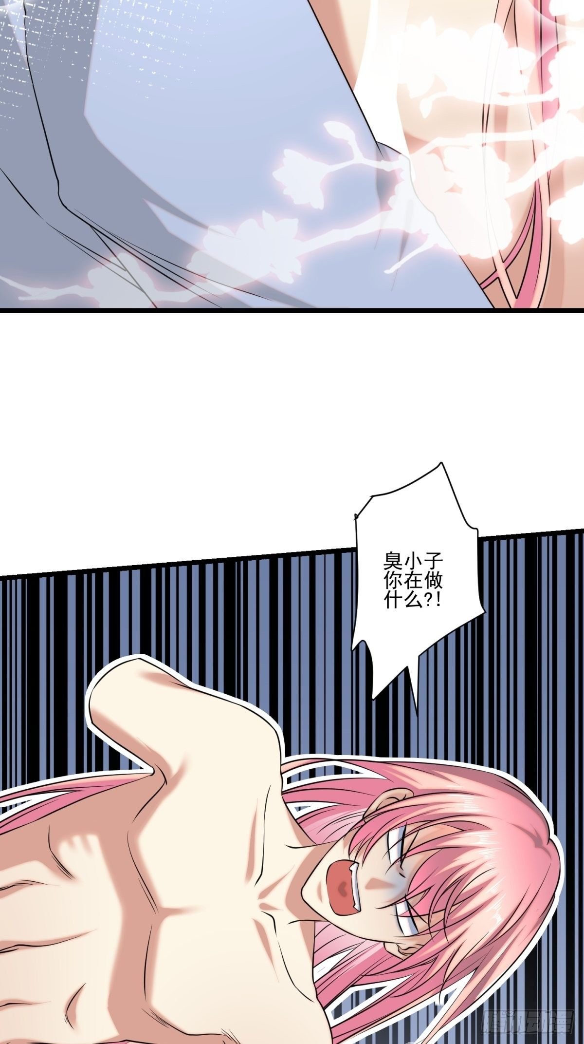 猫灵11