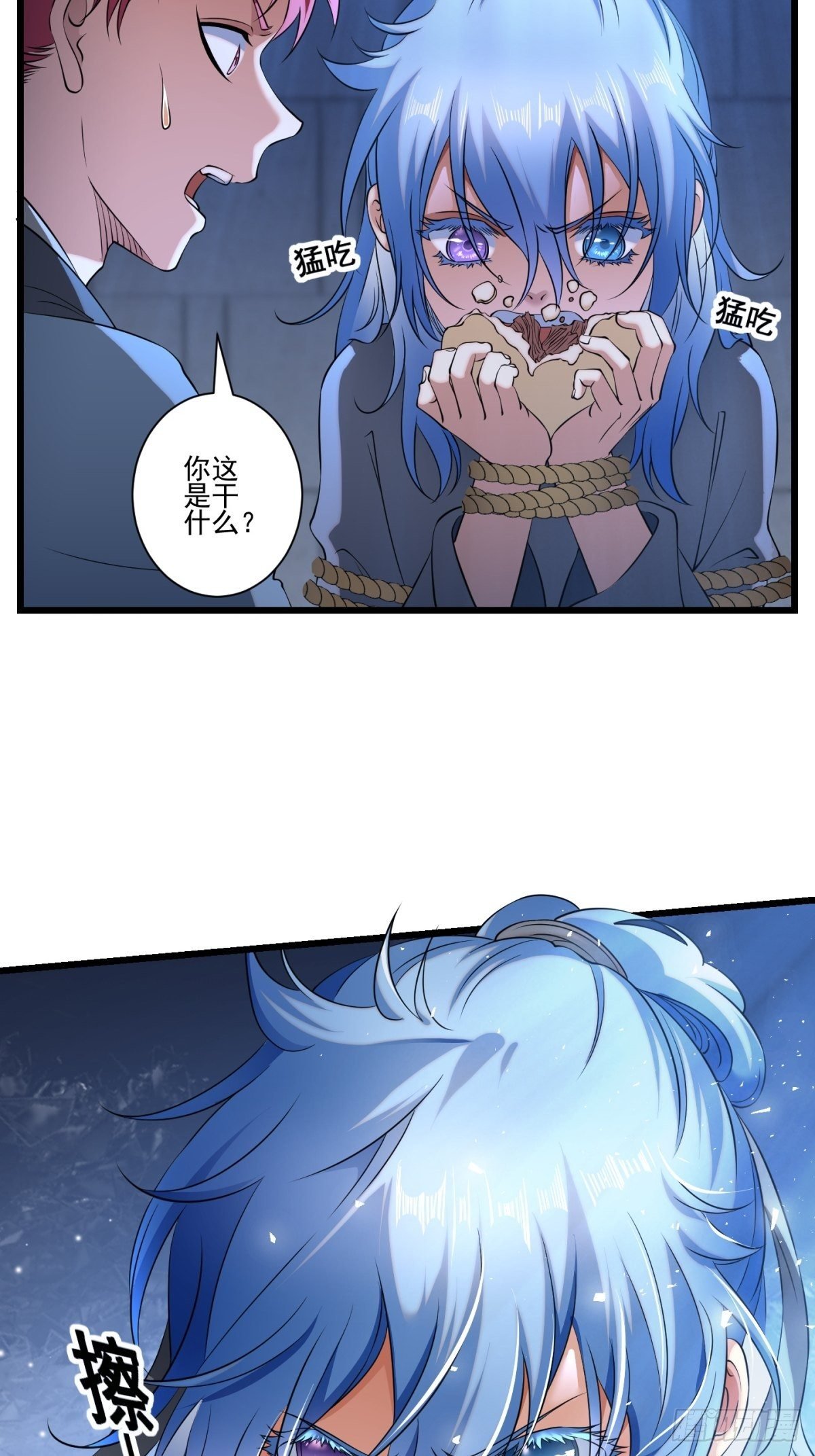 猫灵13