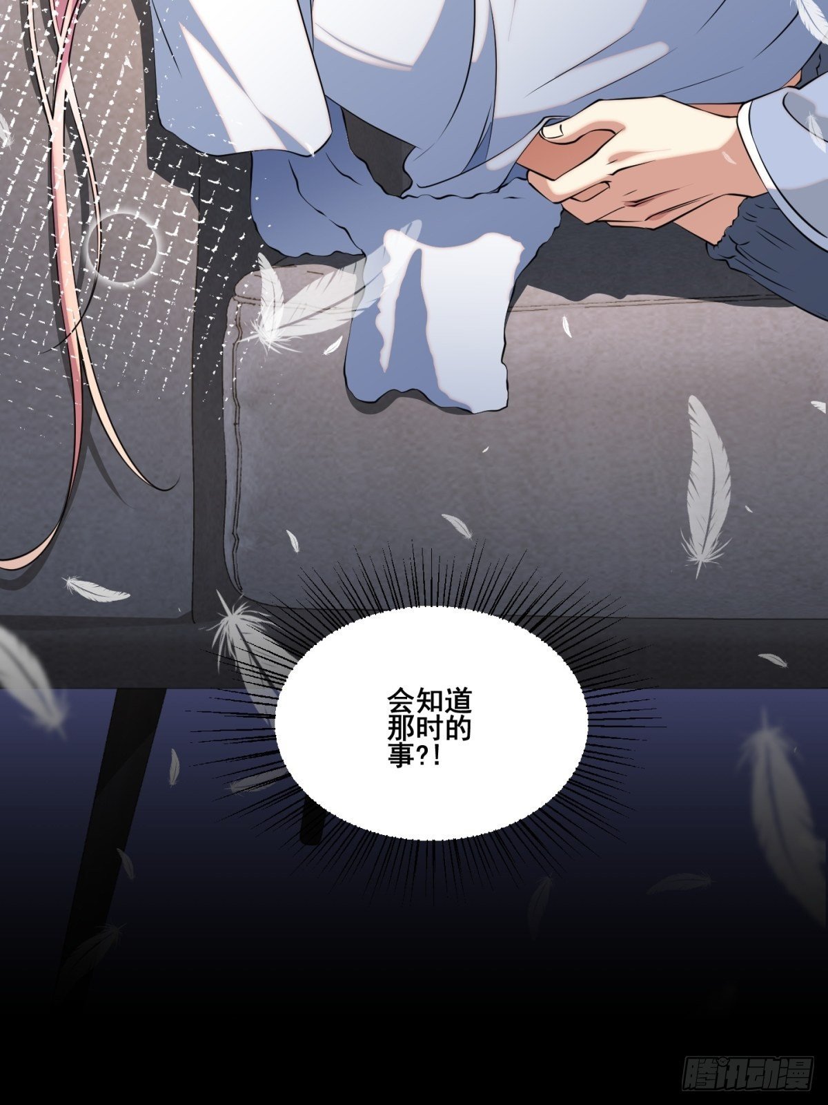 猫灵16