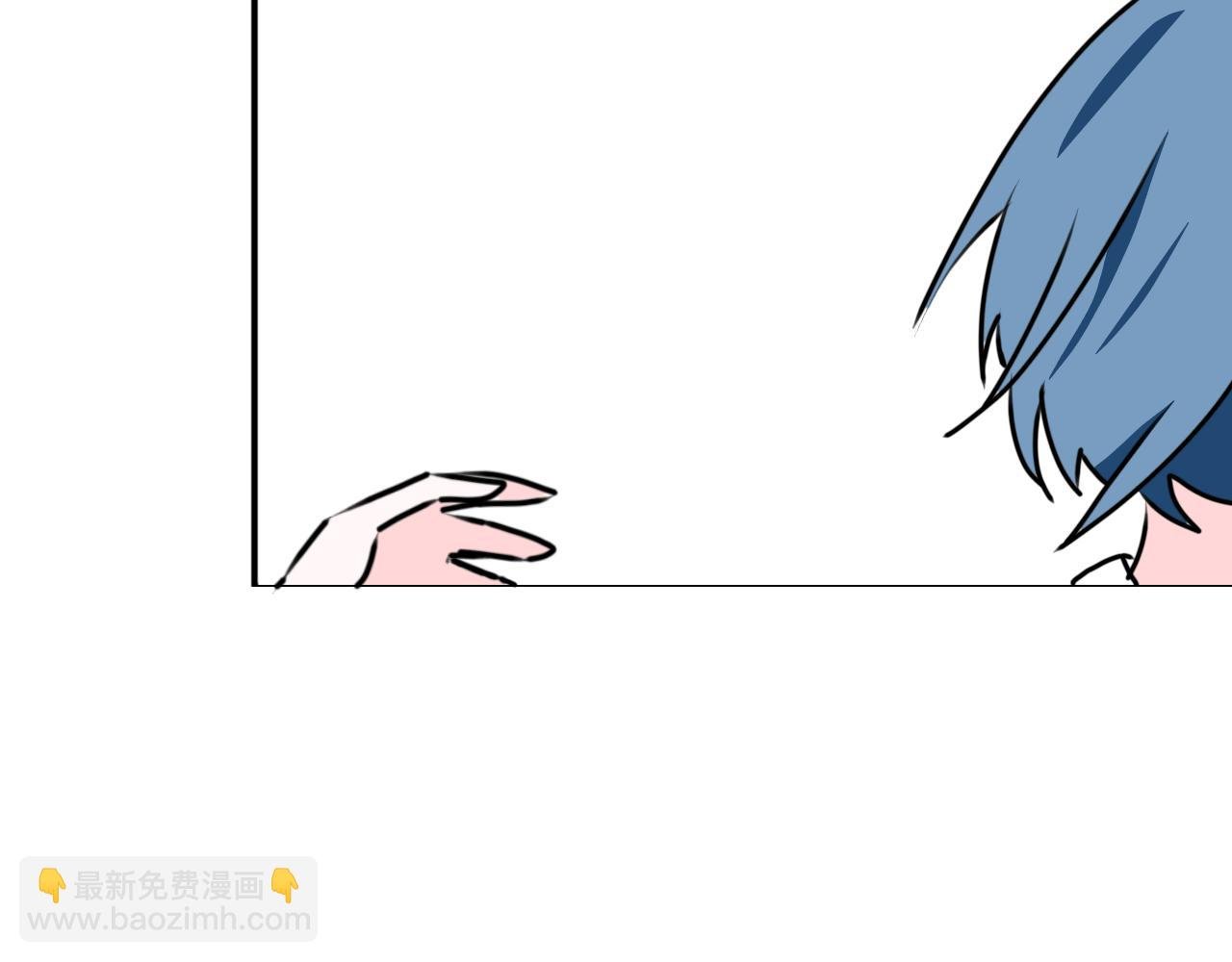 6.猫