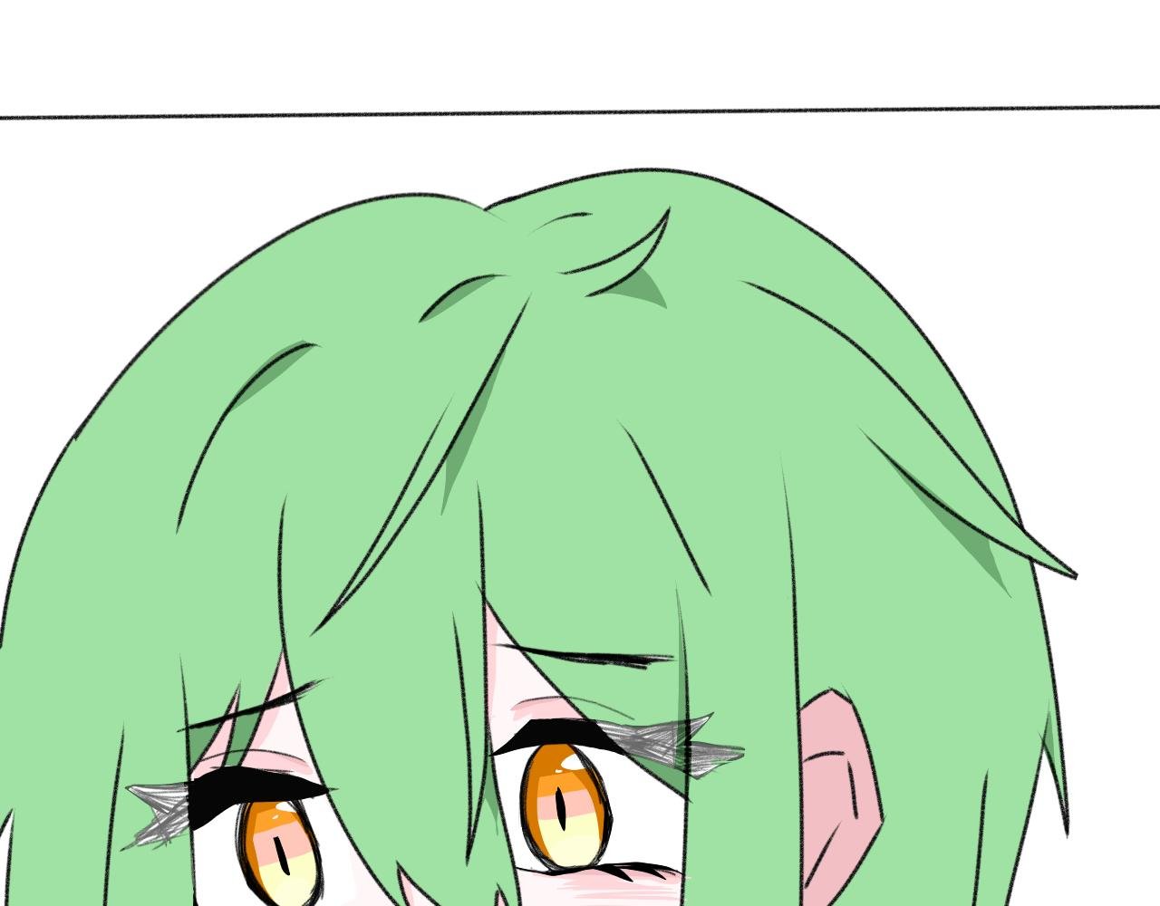 6.猫