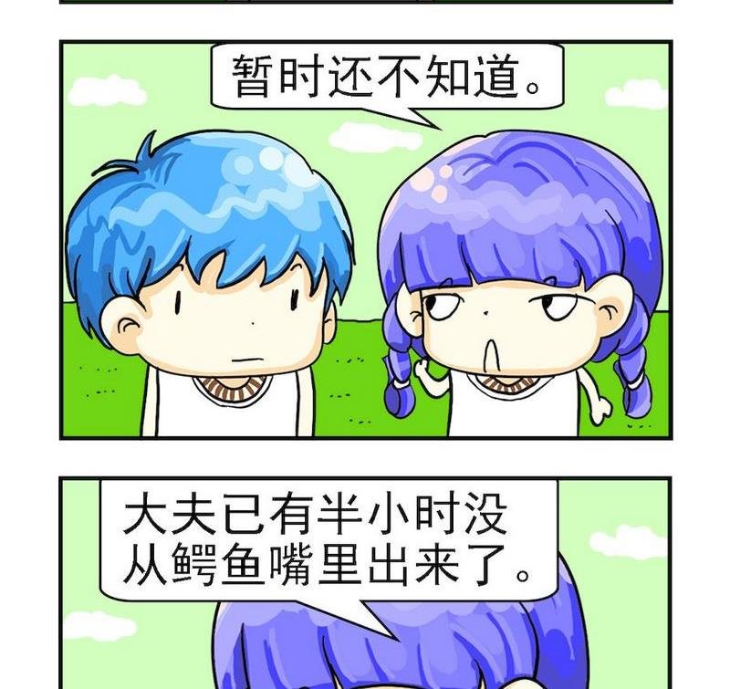 6 鳄鱼