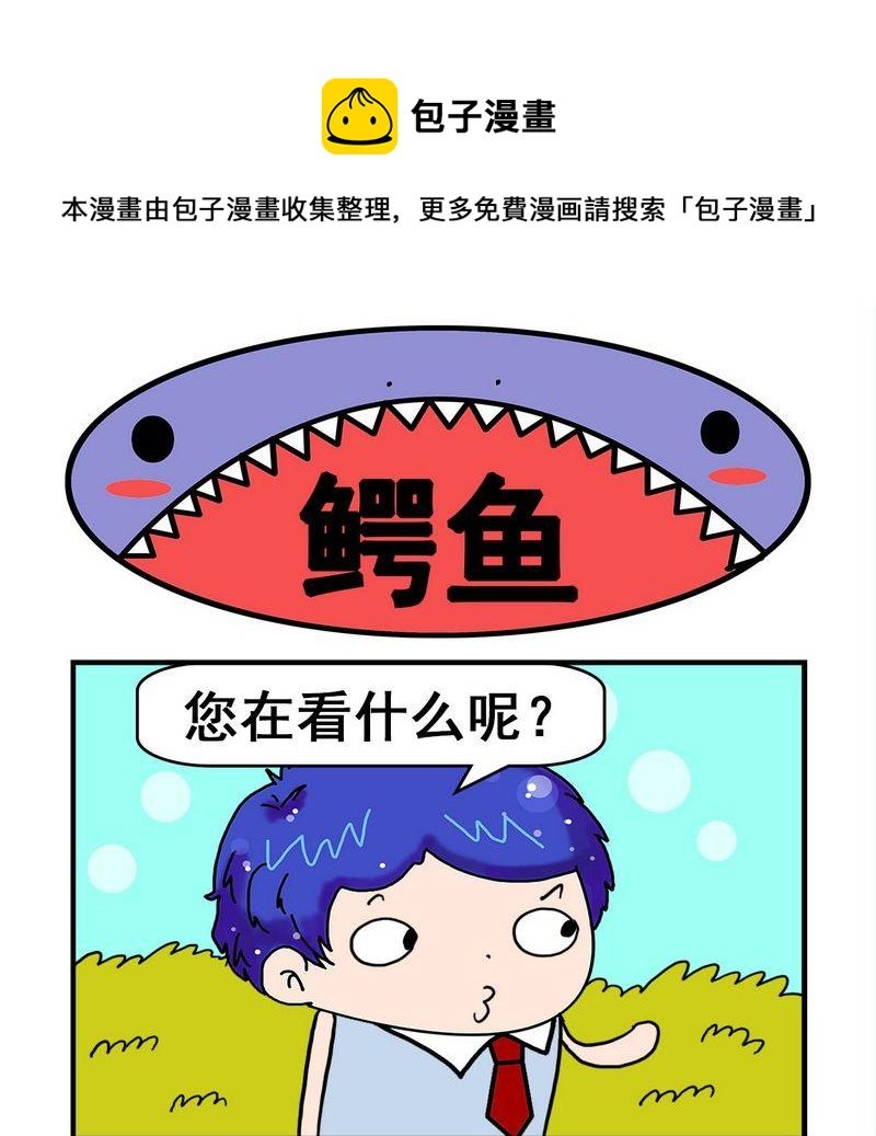 8 鳄鱼